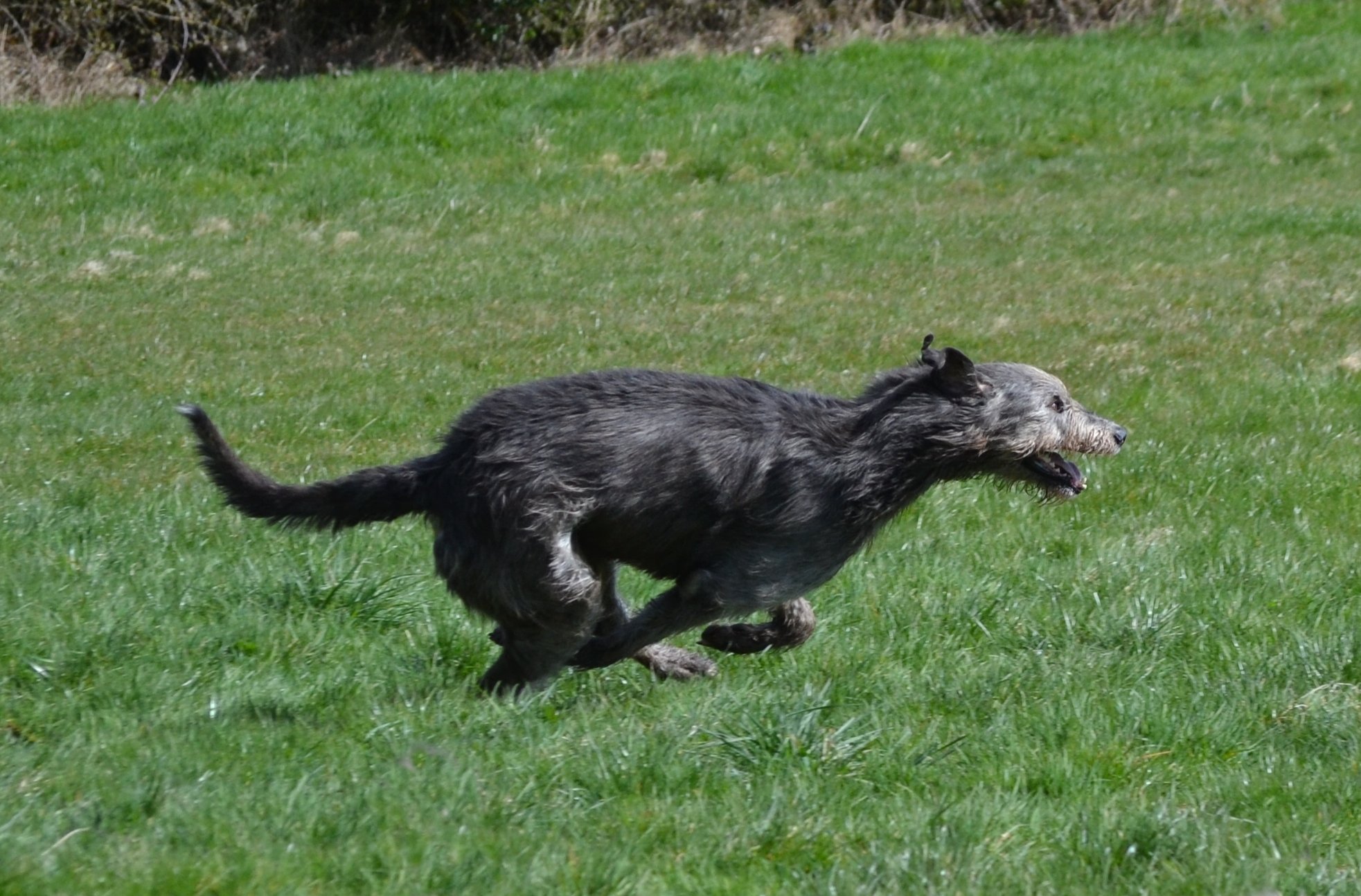 Dsc_5271.jpg