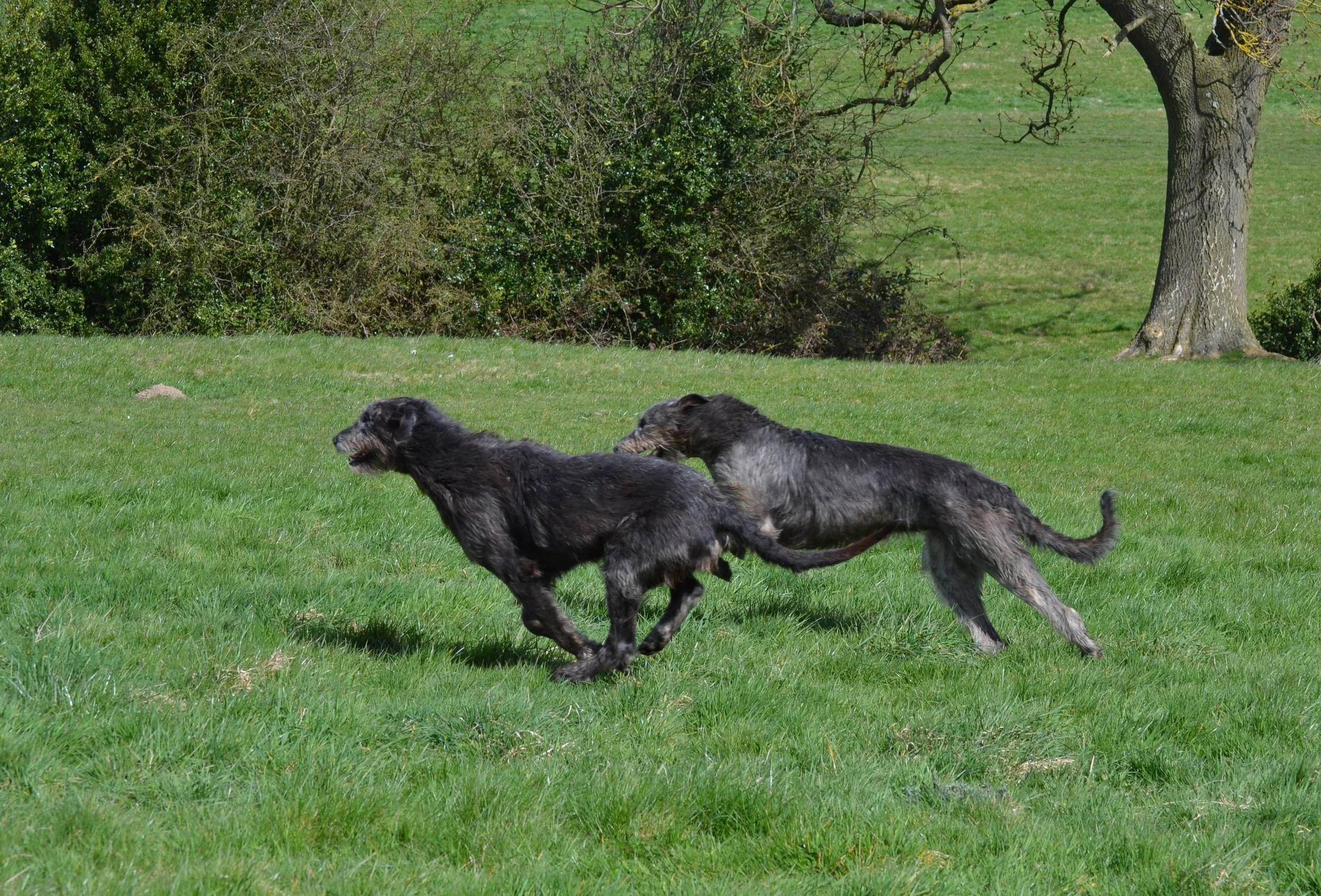 Dsc_5376.jpg