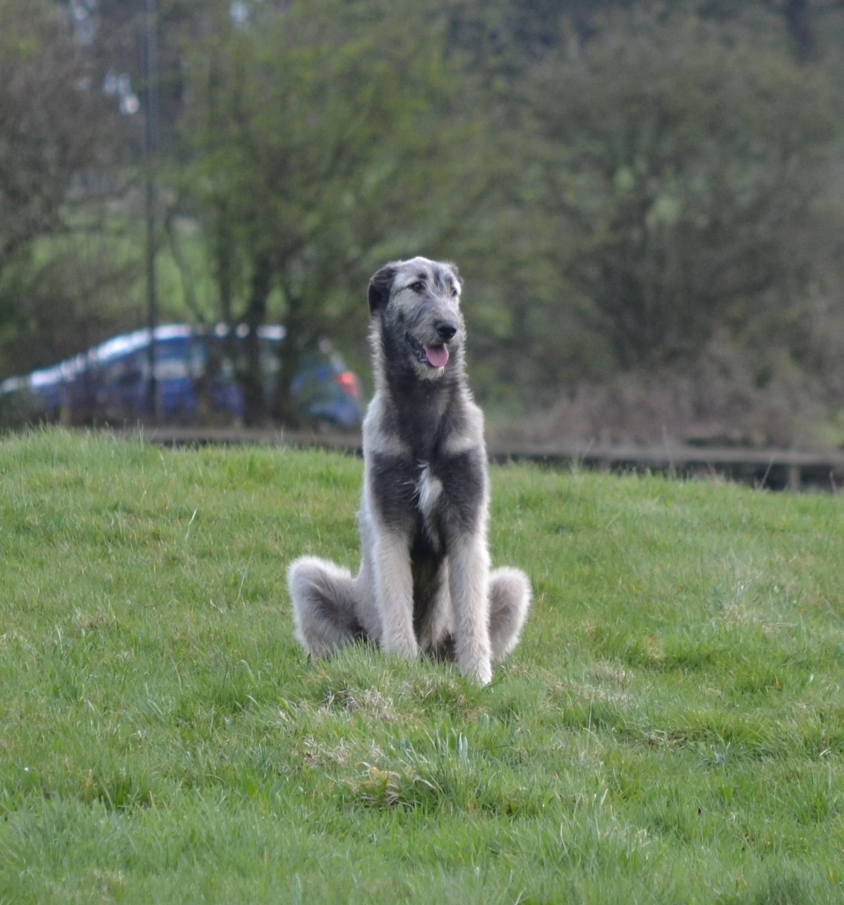 Dsc_5432.jpg