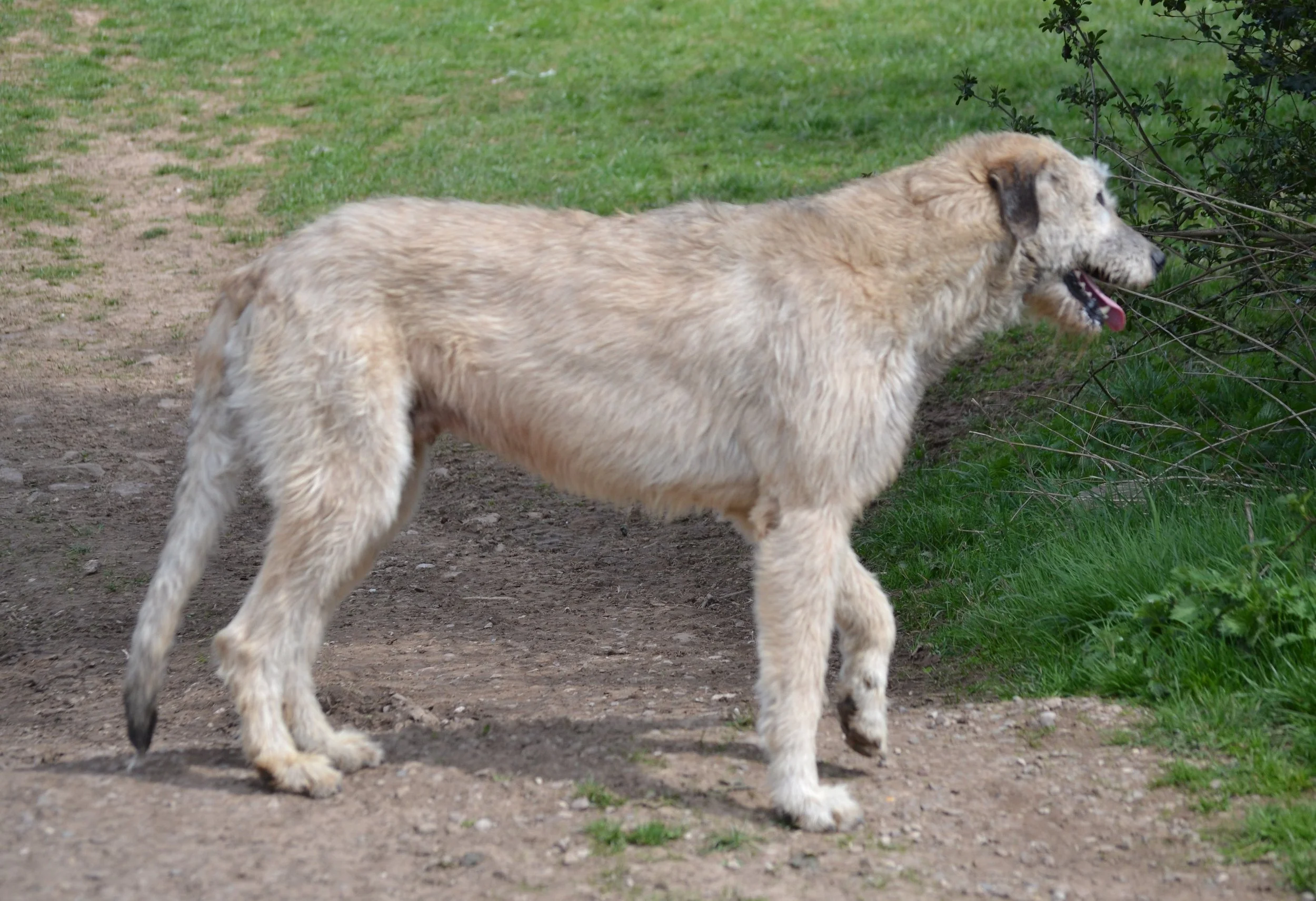 Dsc_5439.jpg