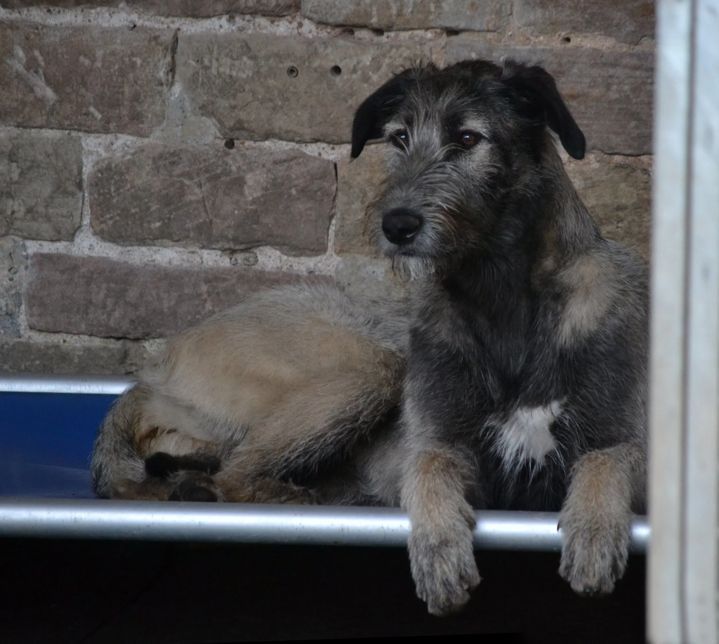 Dsc_5445.jpg