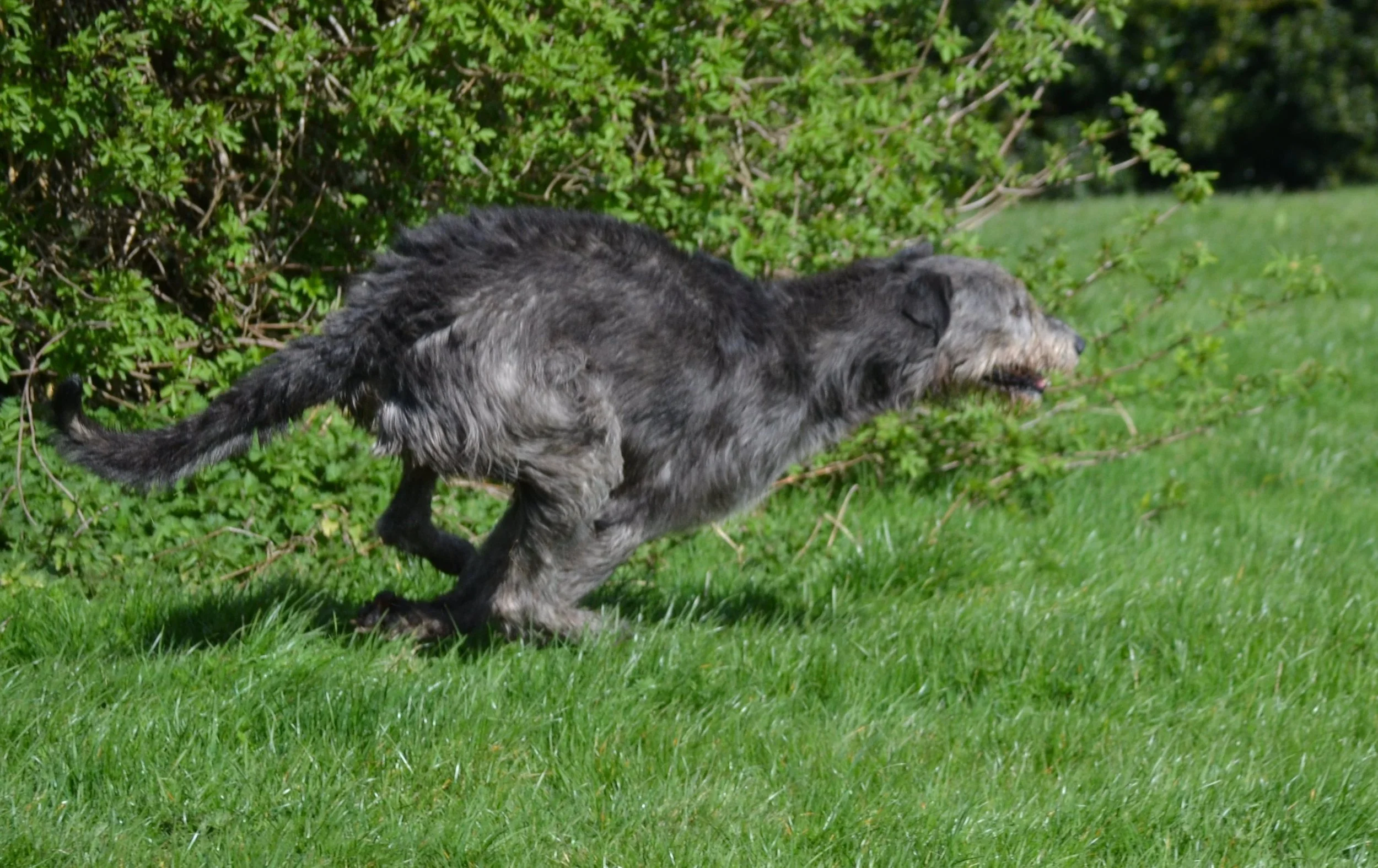 Fit for function 2.jpg