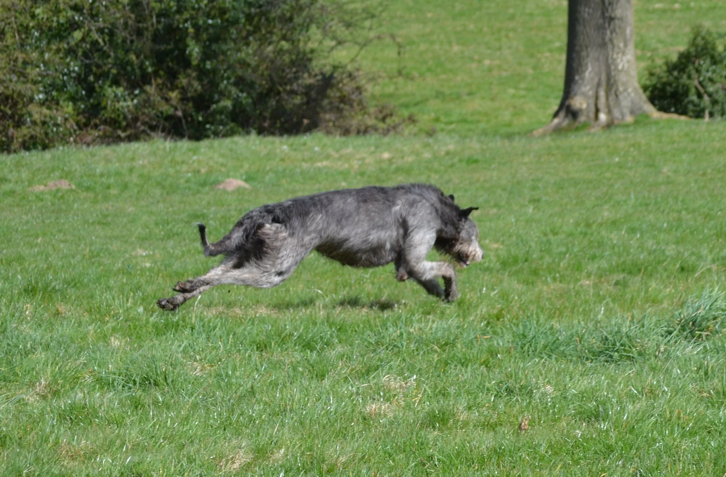 Fit for function 3.jpg