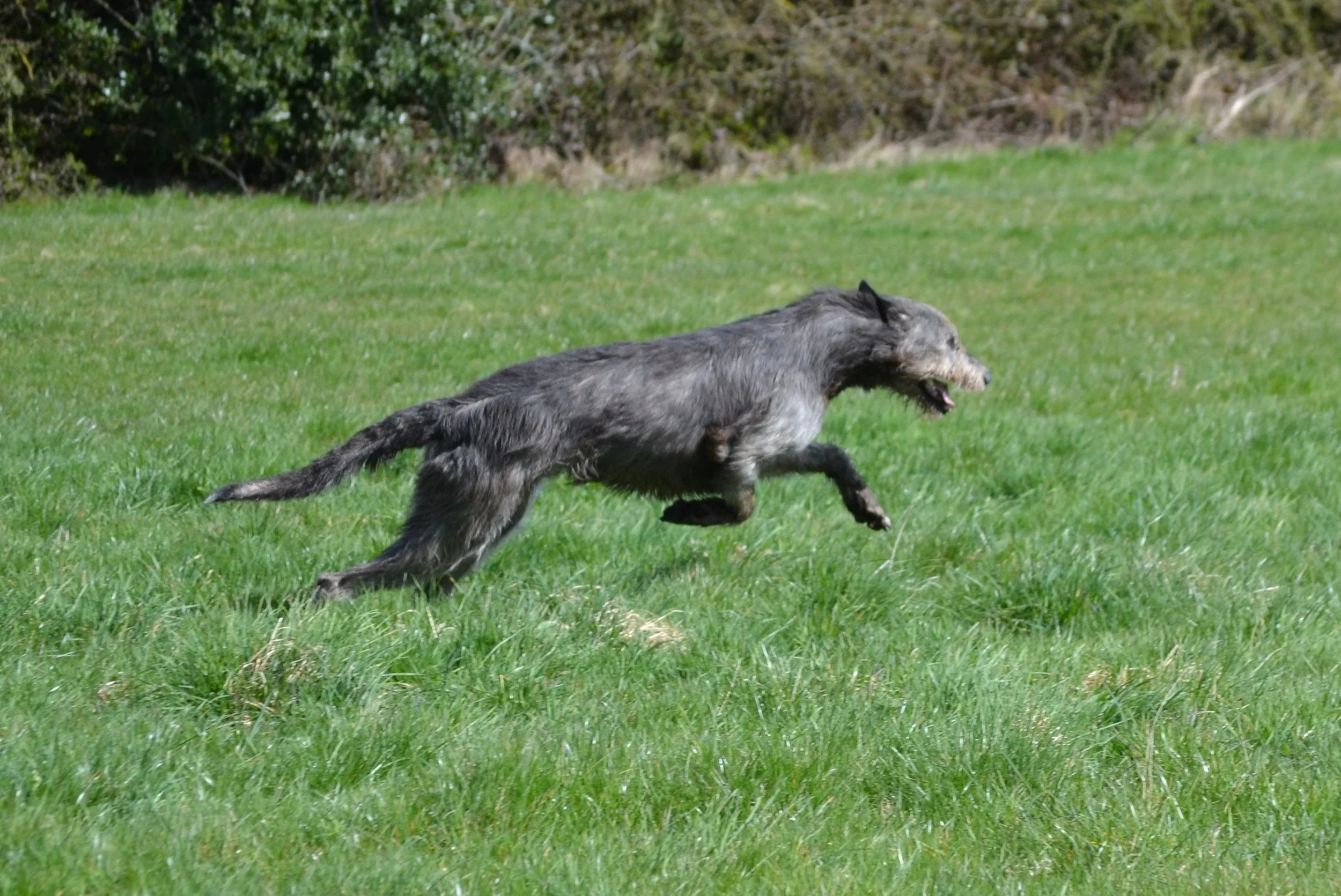 Fit for function 5.jpg