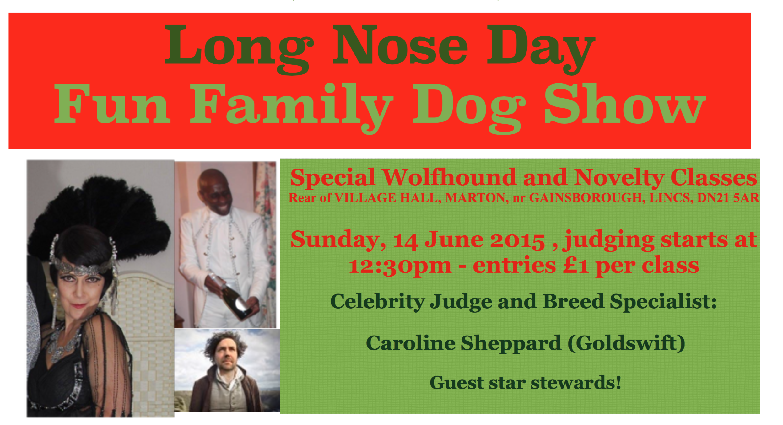 Irish Wolfhound Fun Day For All