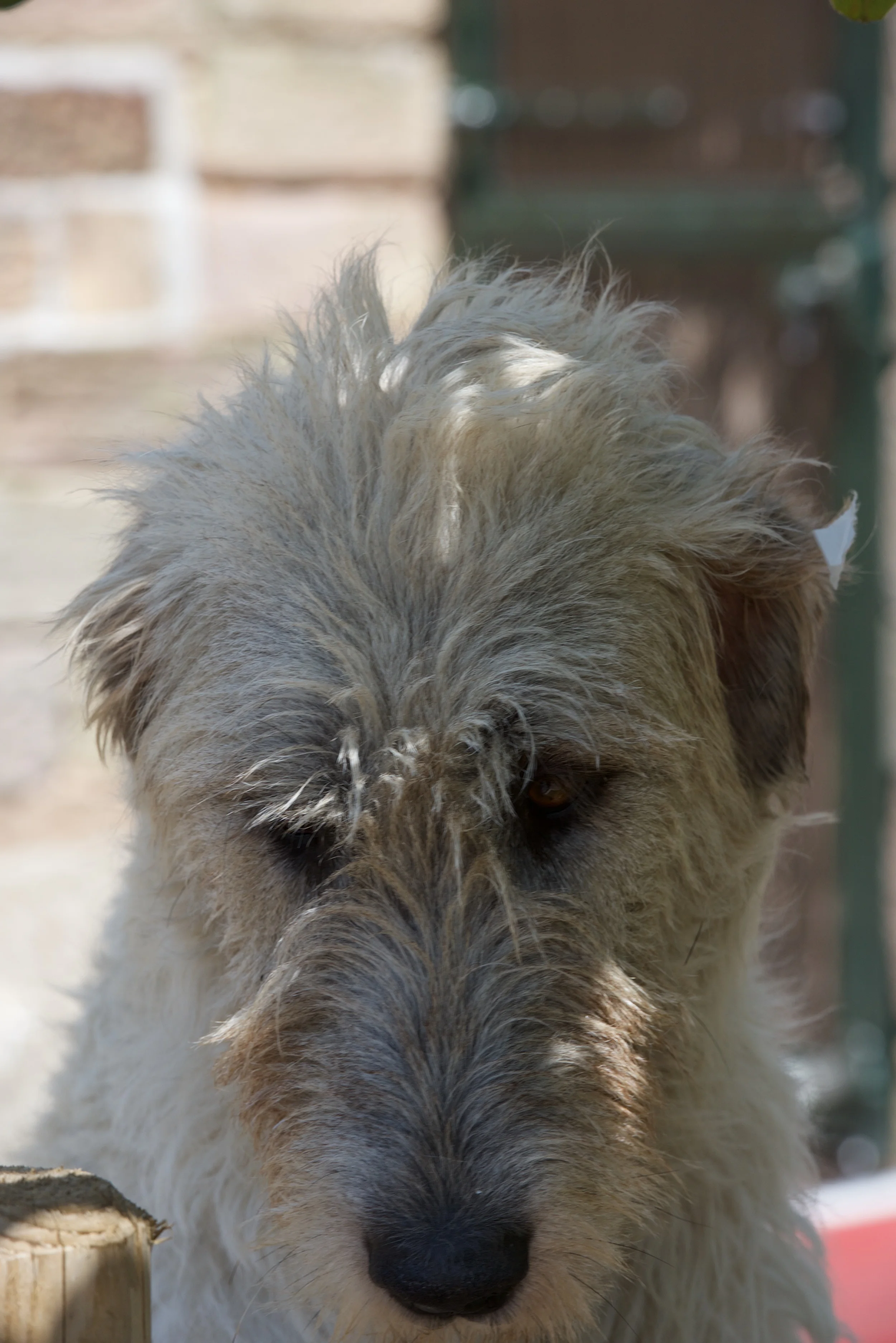 DSC_1425.jpg