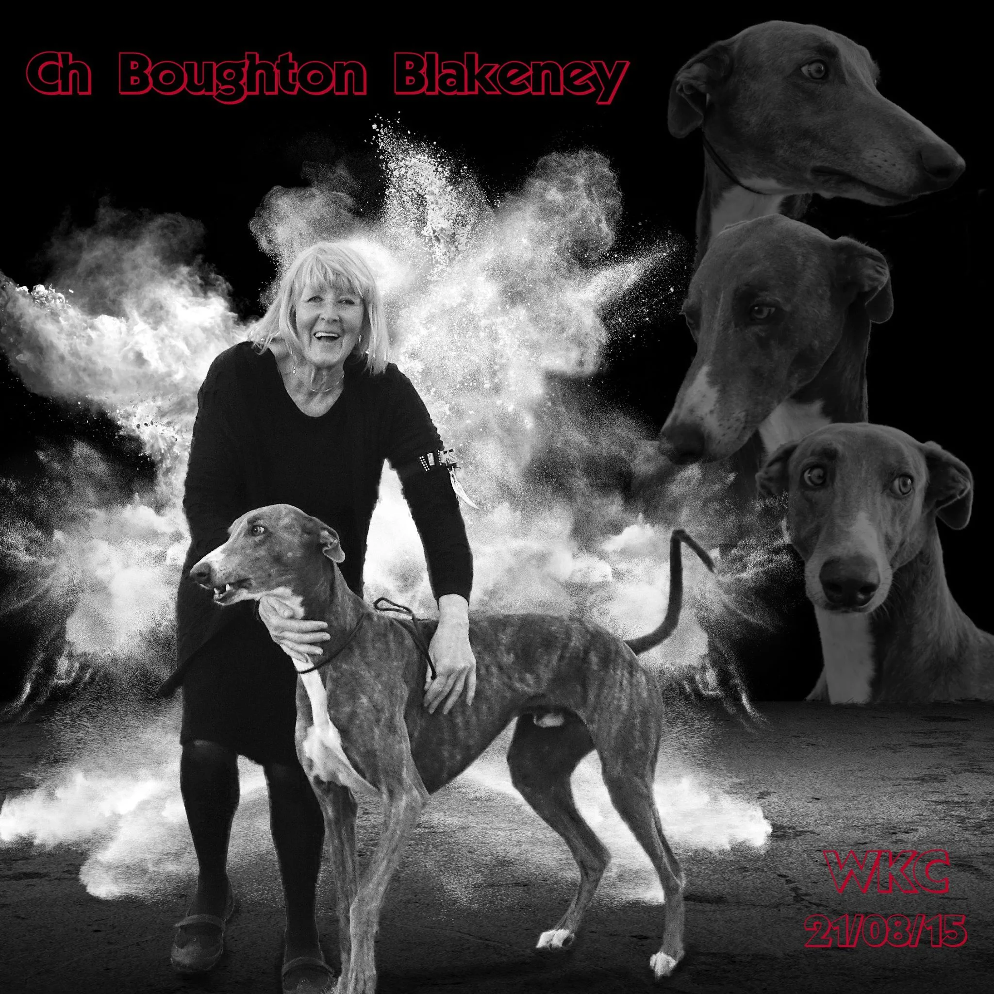 The Ladies Kennel Association Championship Show