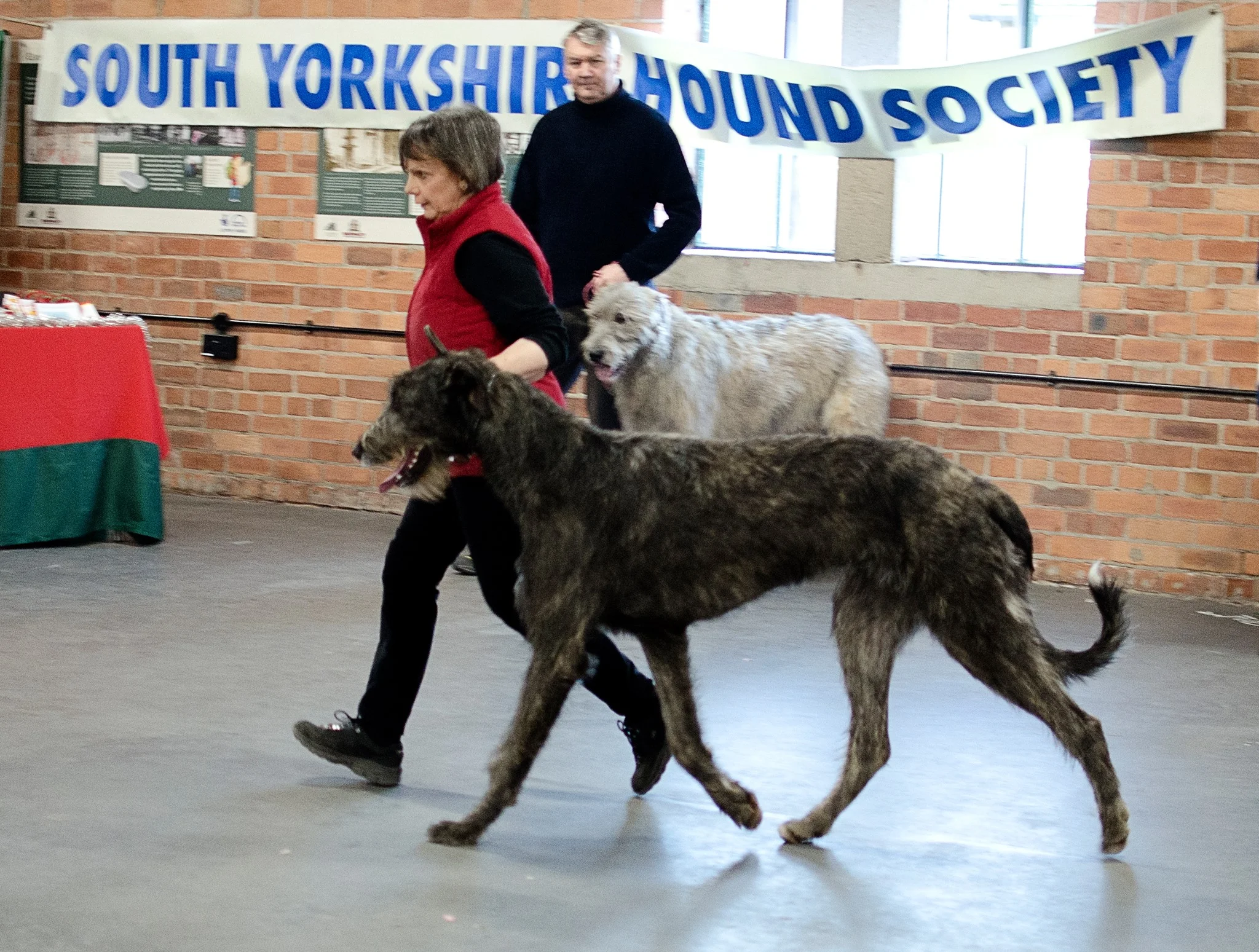 South Yorkshire Hound Society Open Show