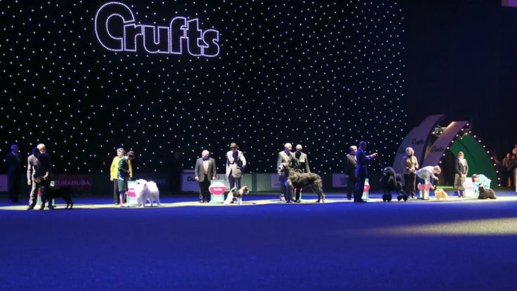 Crufts 2016 