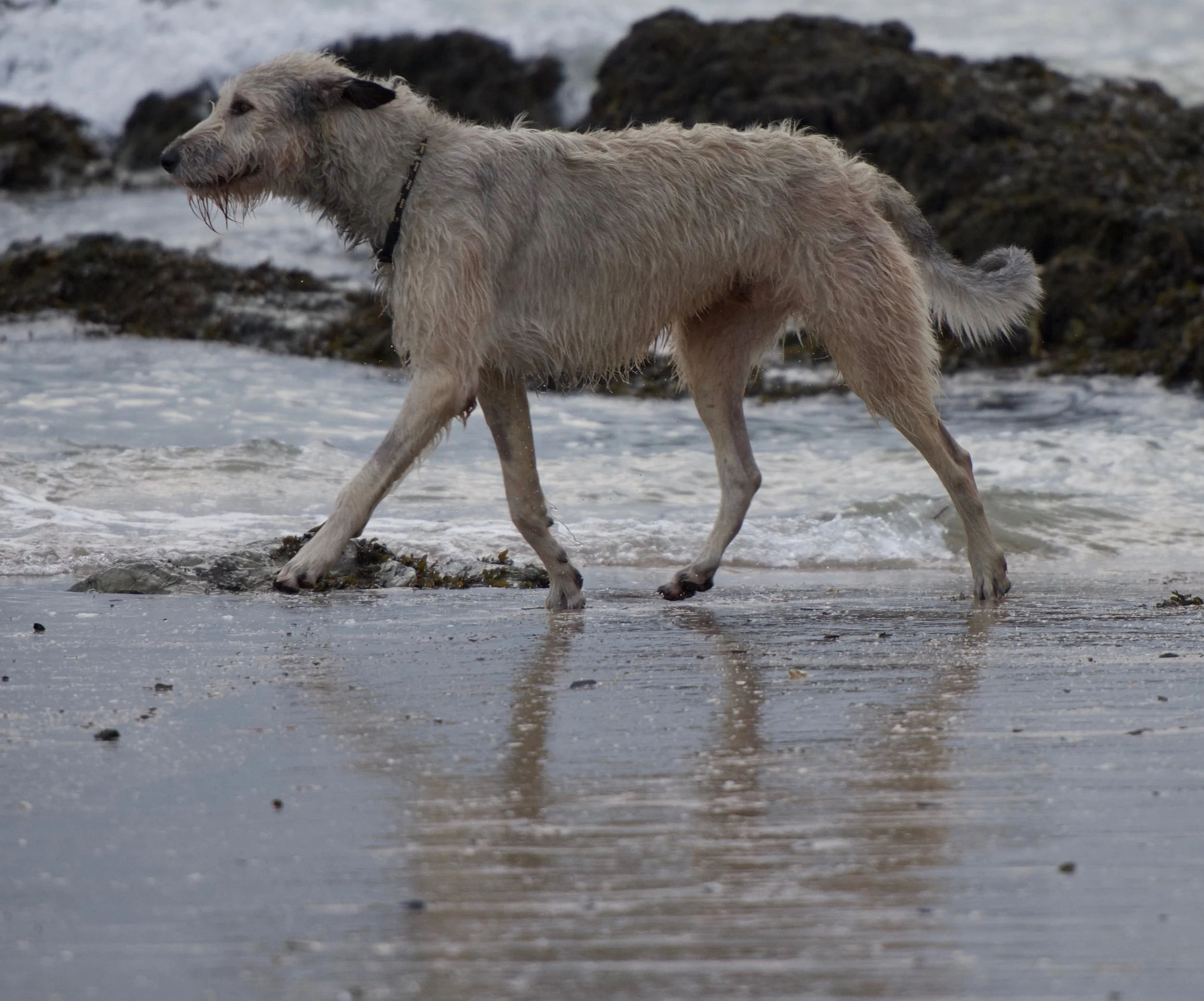 DSC_6859.jpg