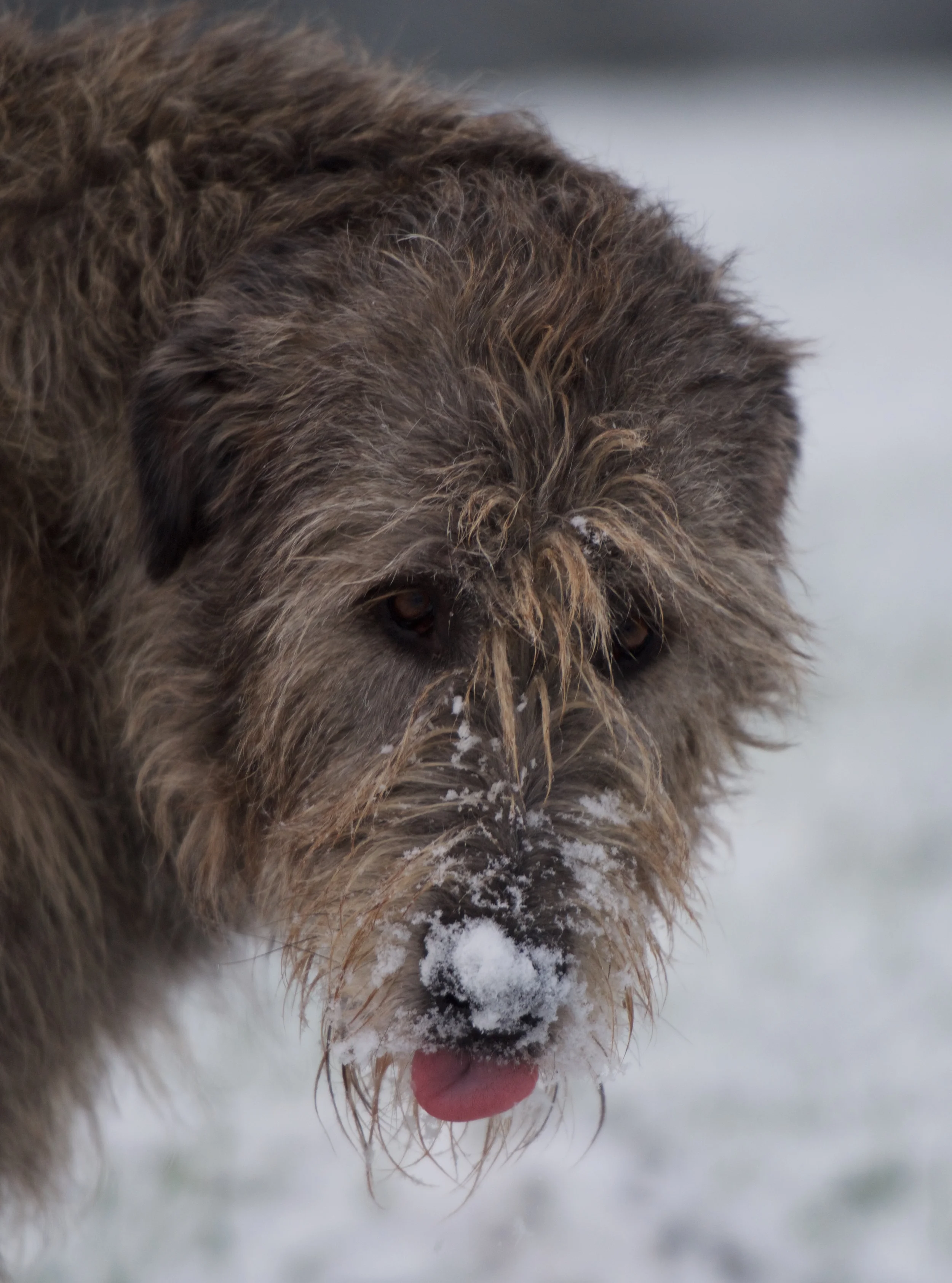 DSC_7559.jpg