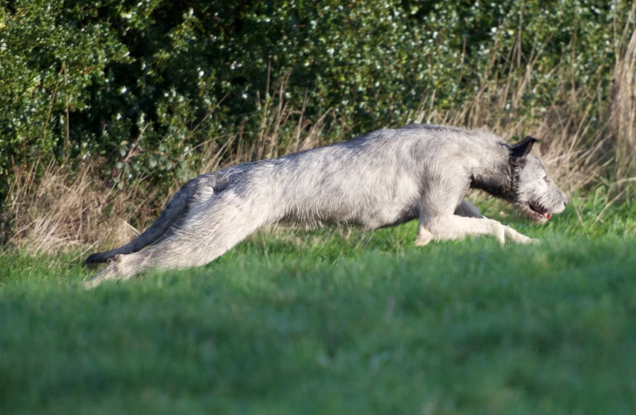 DSC_7600.jpg