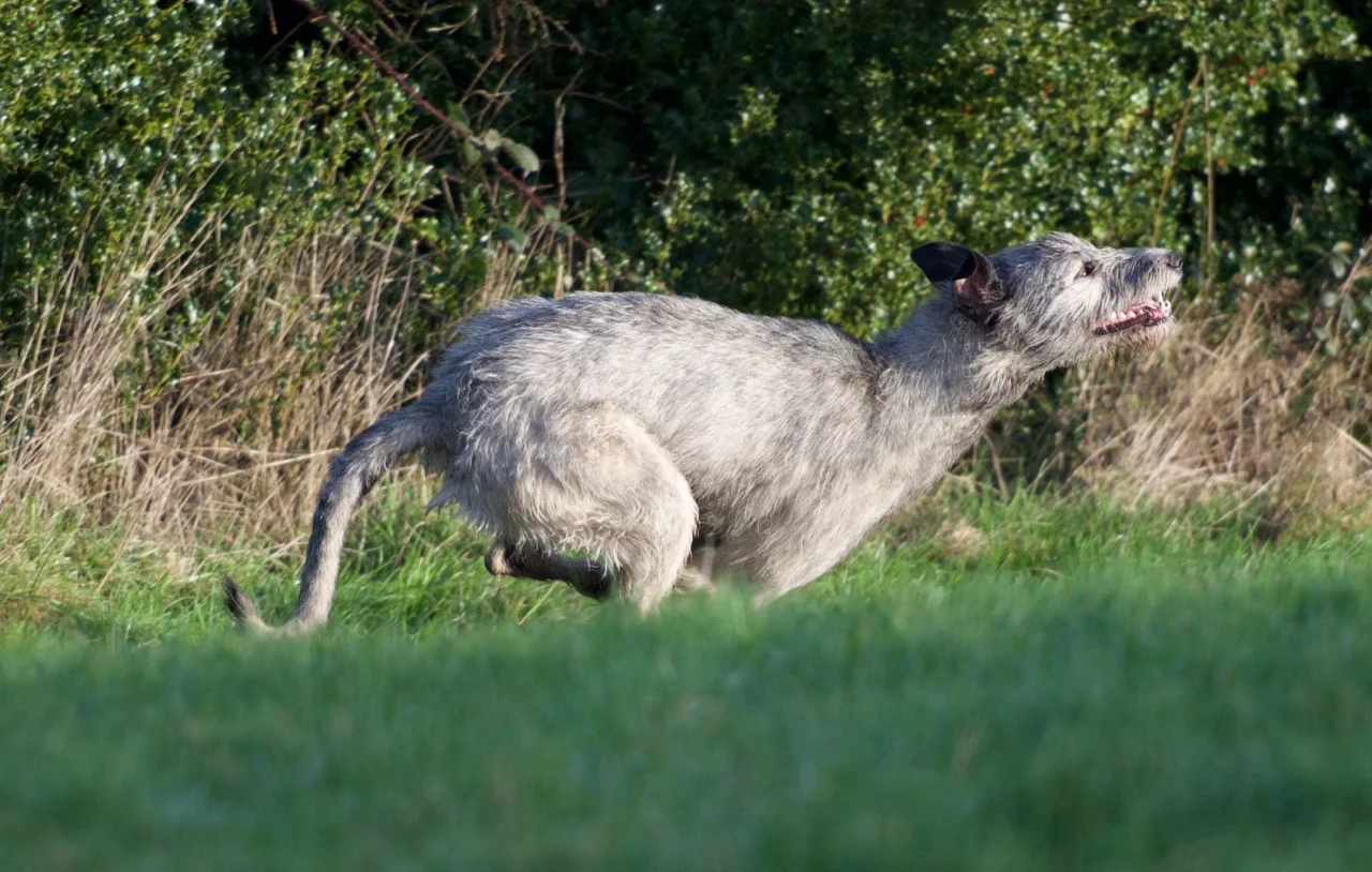 DSC_7599.jpg