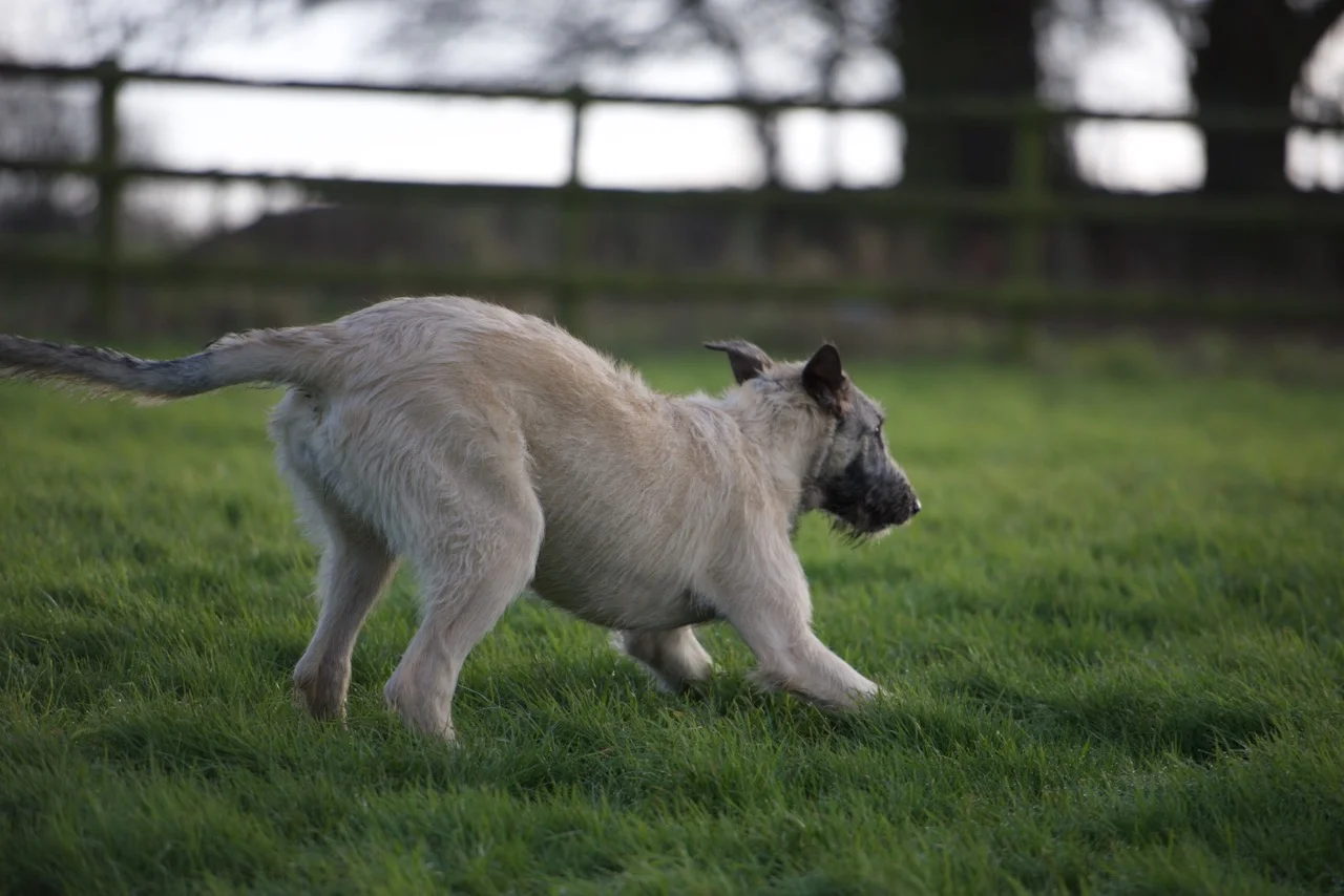 DSC_7639.jpg