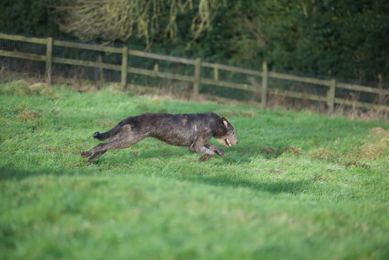 DSC_7683.jpg
