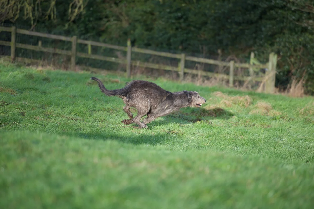 DSC_7684.jpg