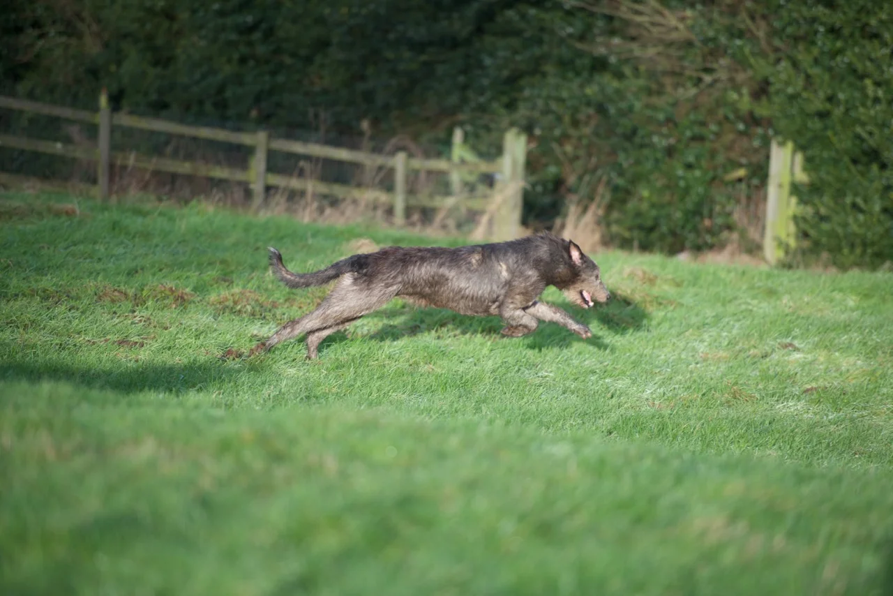 DSC_7685.jpg