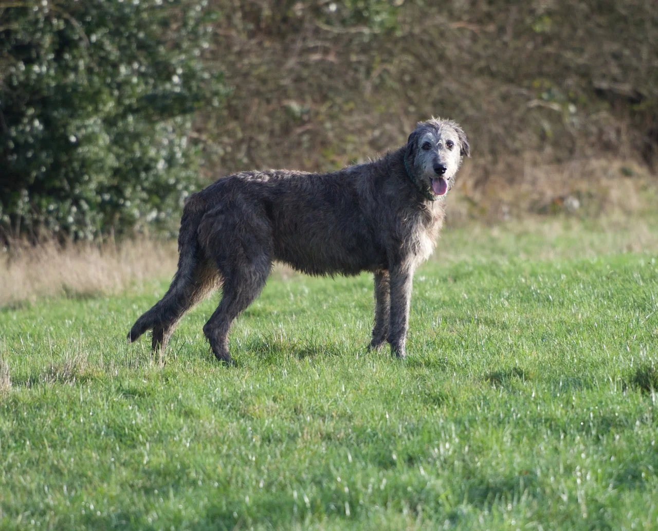 DSC_7692.jpg