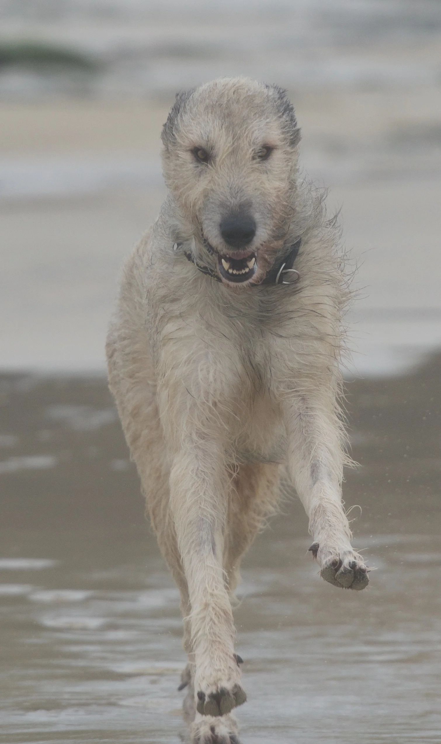 DSC_7867.jpg
