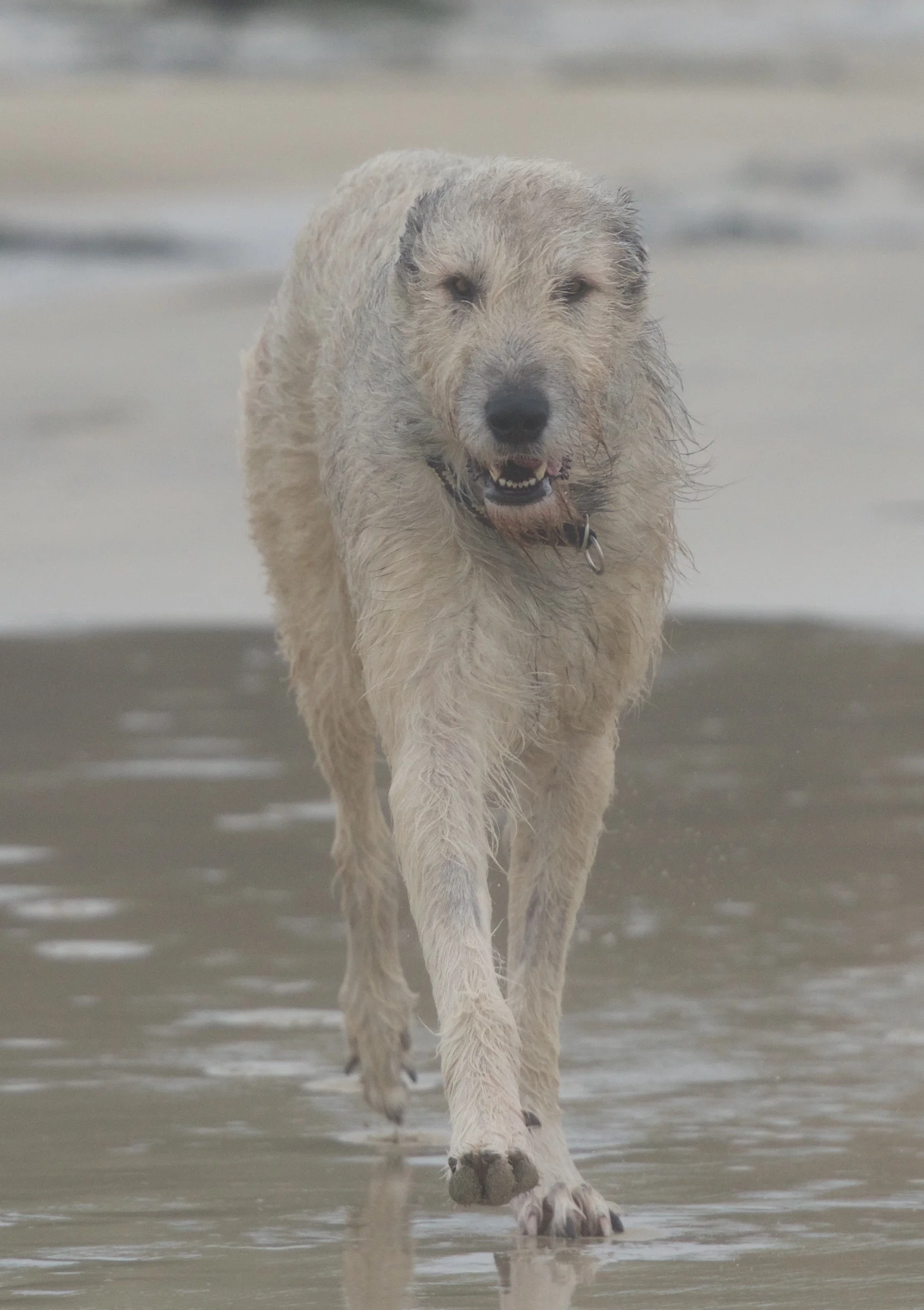DSC_7865.jpg