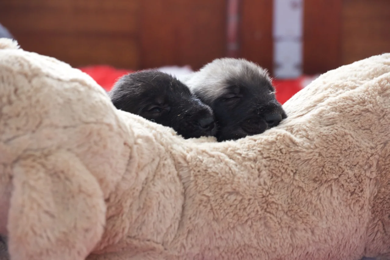 DSC_1319.jpg