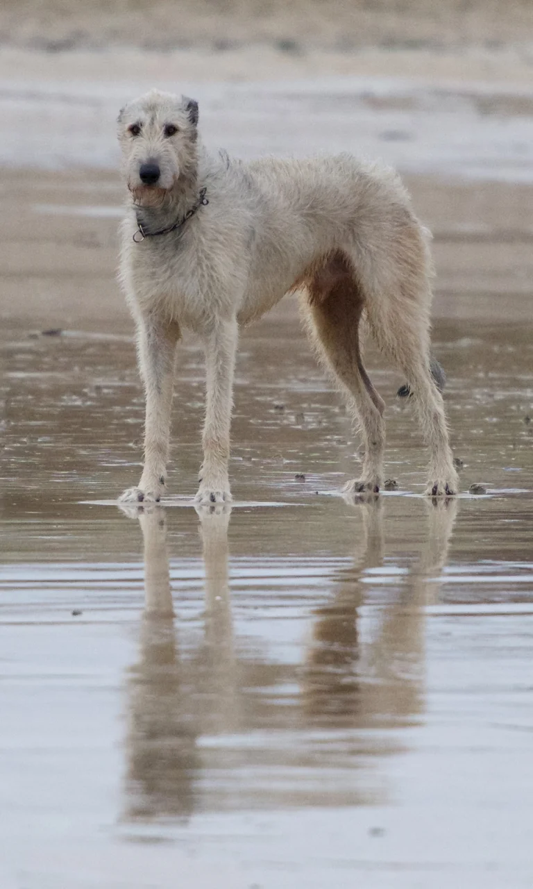 DSC_9010.jpg