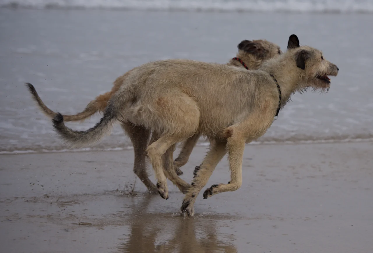 DSC_1518.jpg