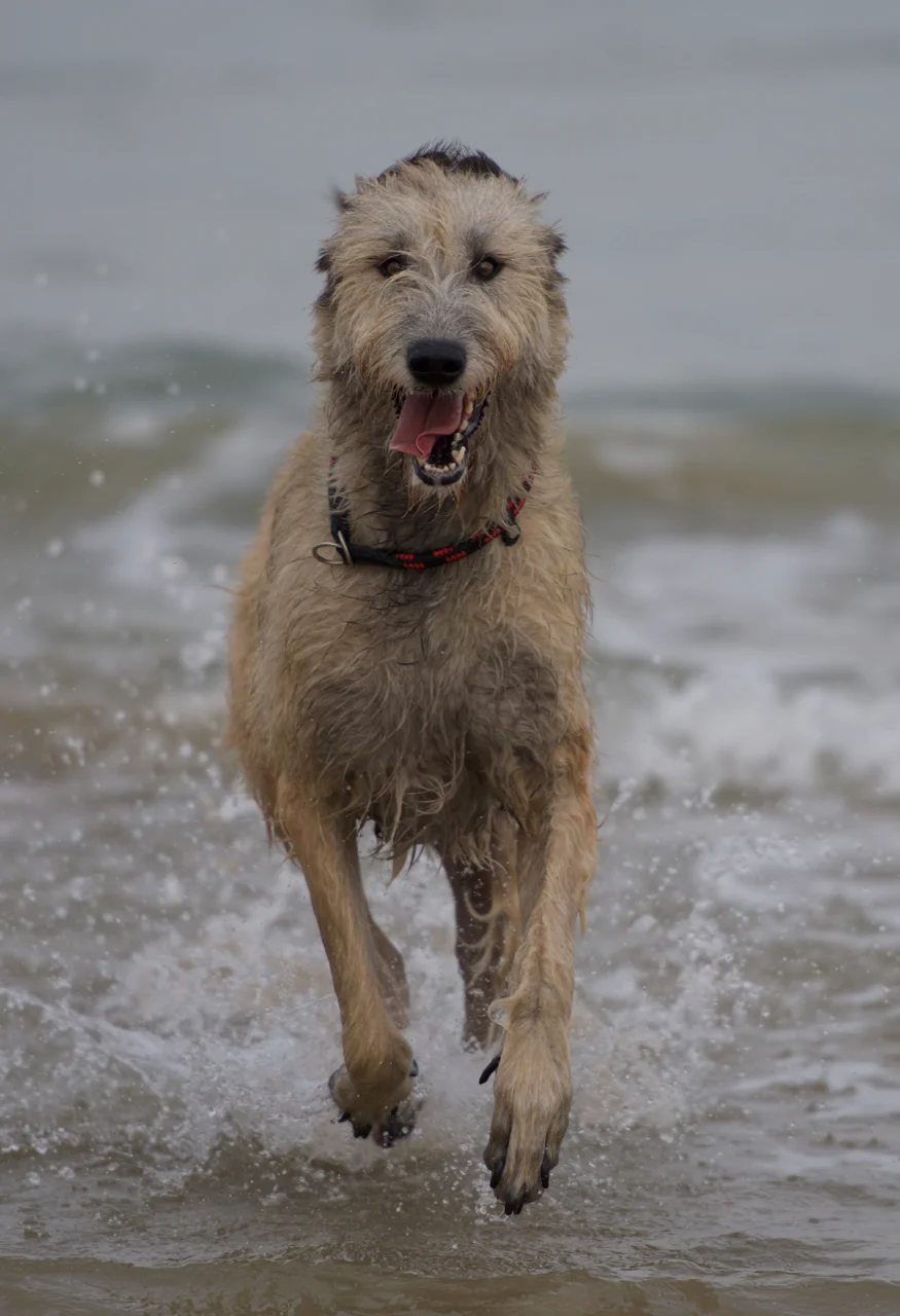 DSC_1552.jpg