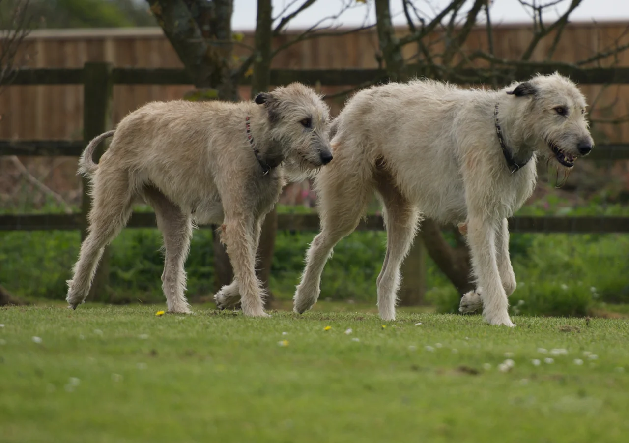 DSC_1706.jpg