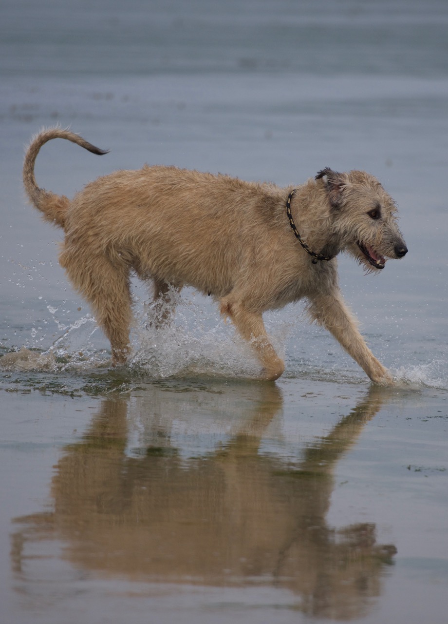 DSC_4939.jpg
