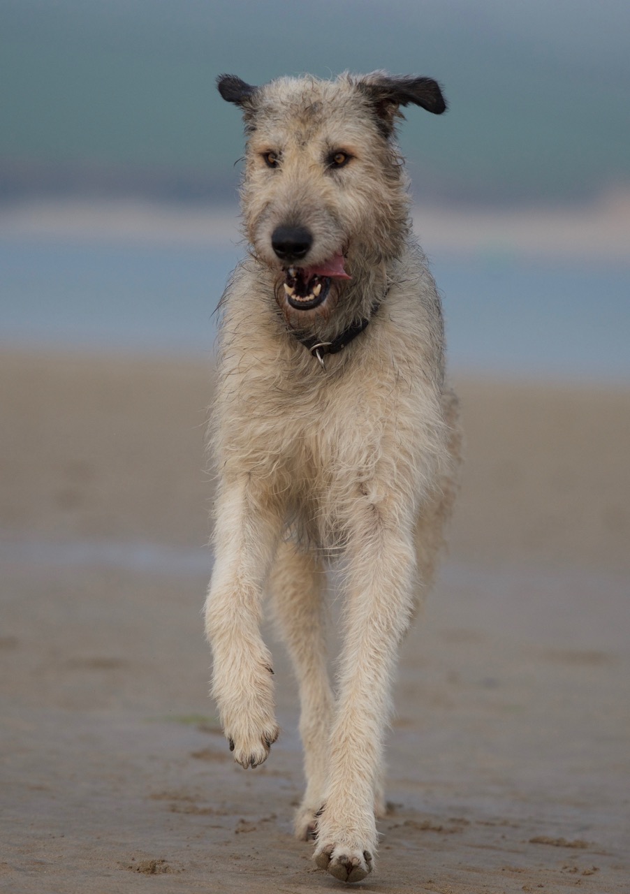 DSC_5079.jpg
