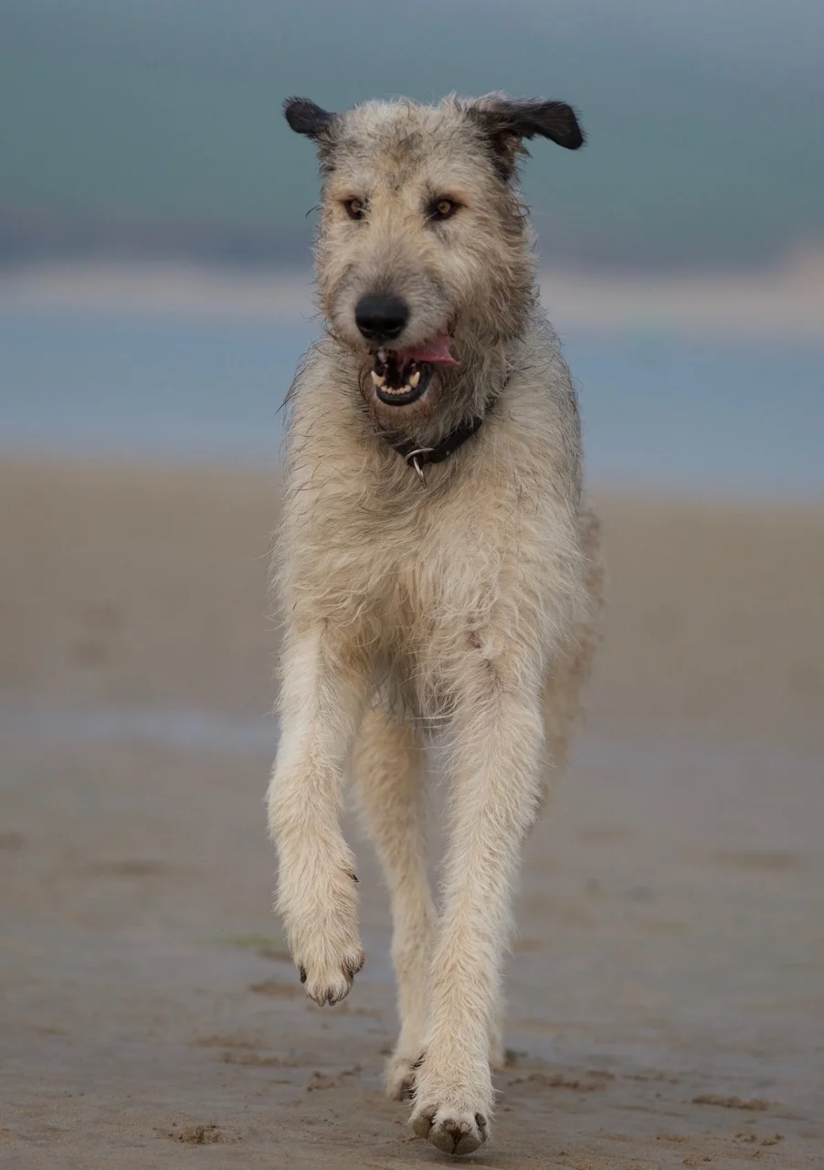 DSC_5079.jpg