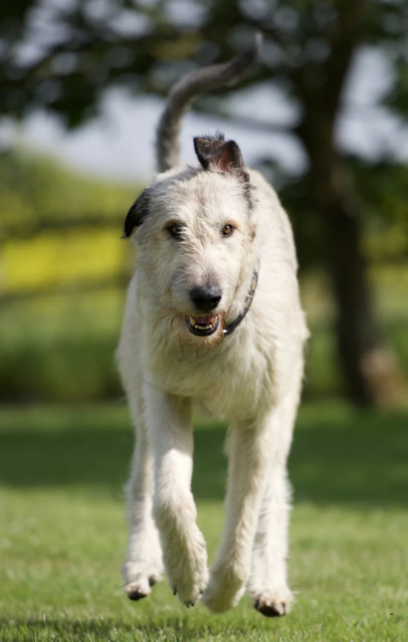 DSC_7237.jpg