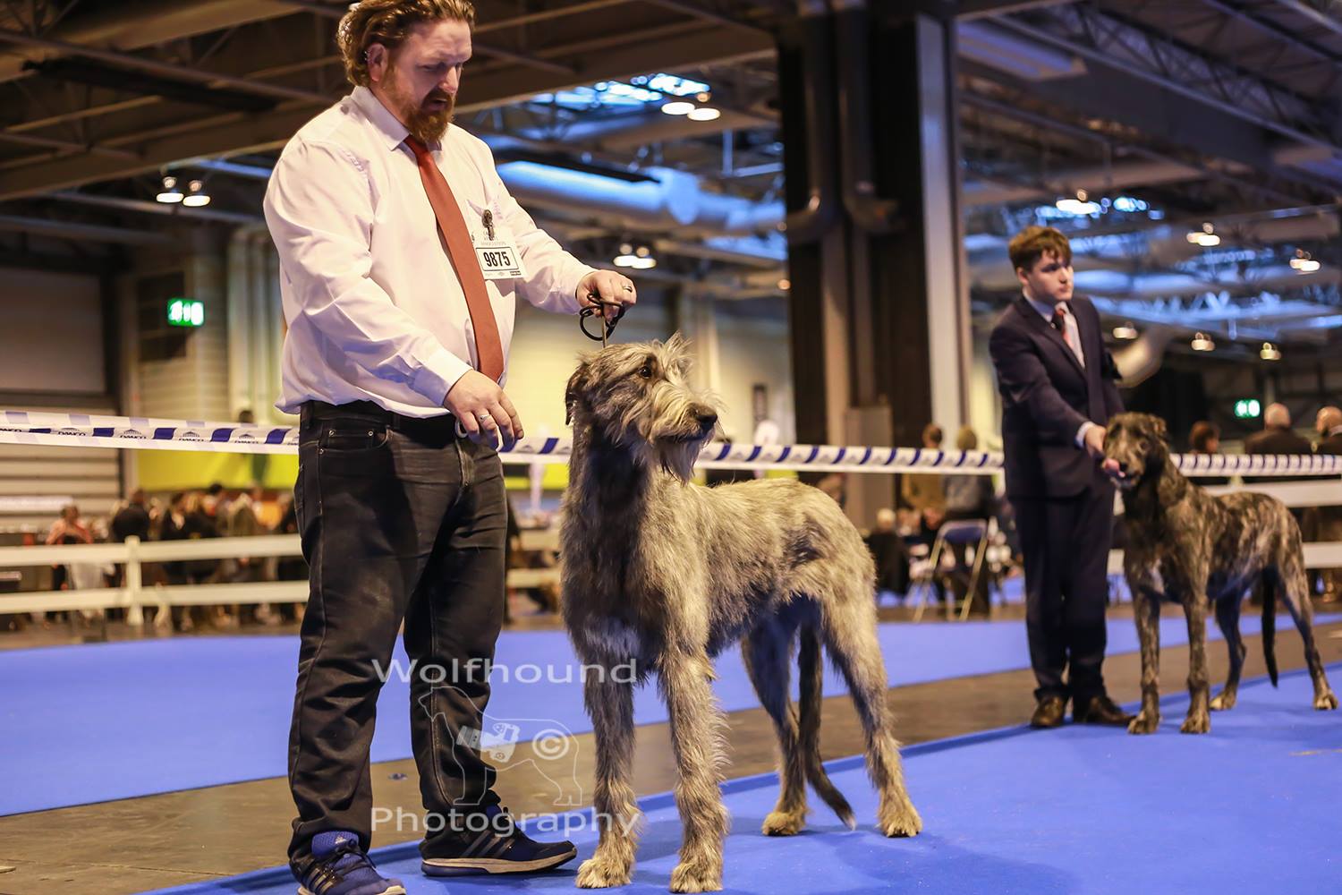 Dave with Kensie and Luna with her handler