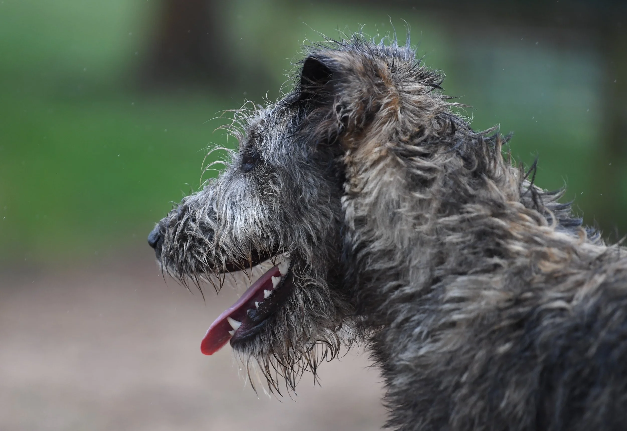 FullSizeRender 22.jpg