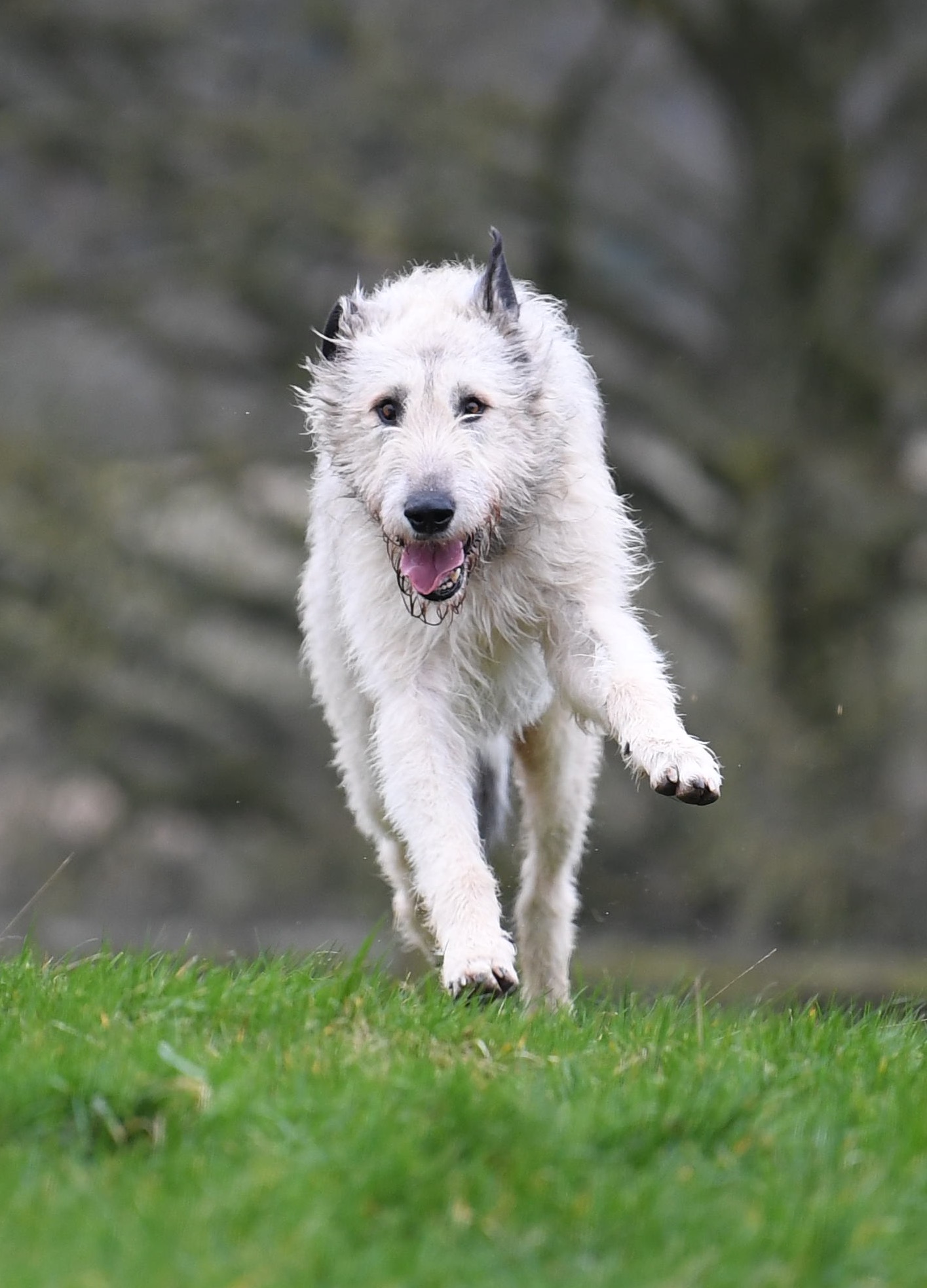 FullSizeRender 2.jpg