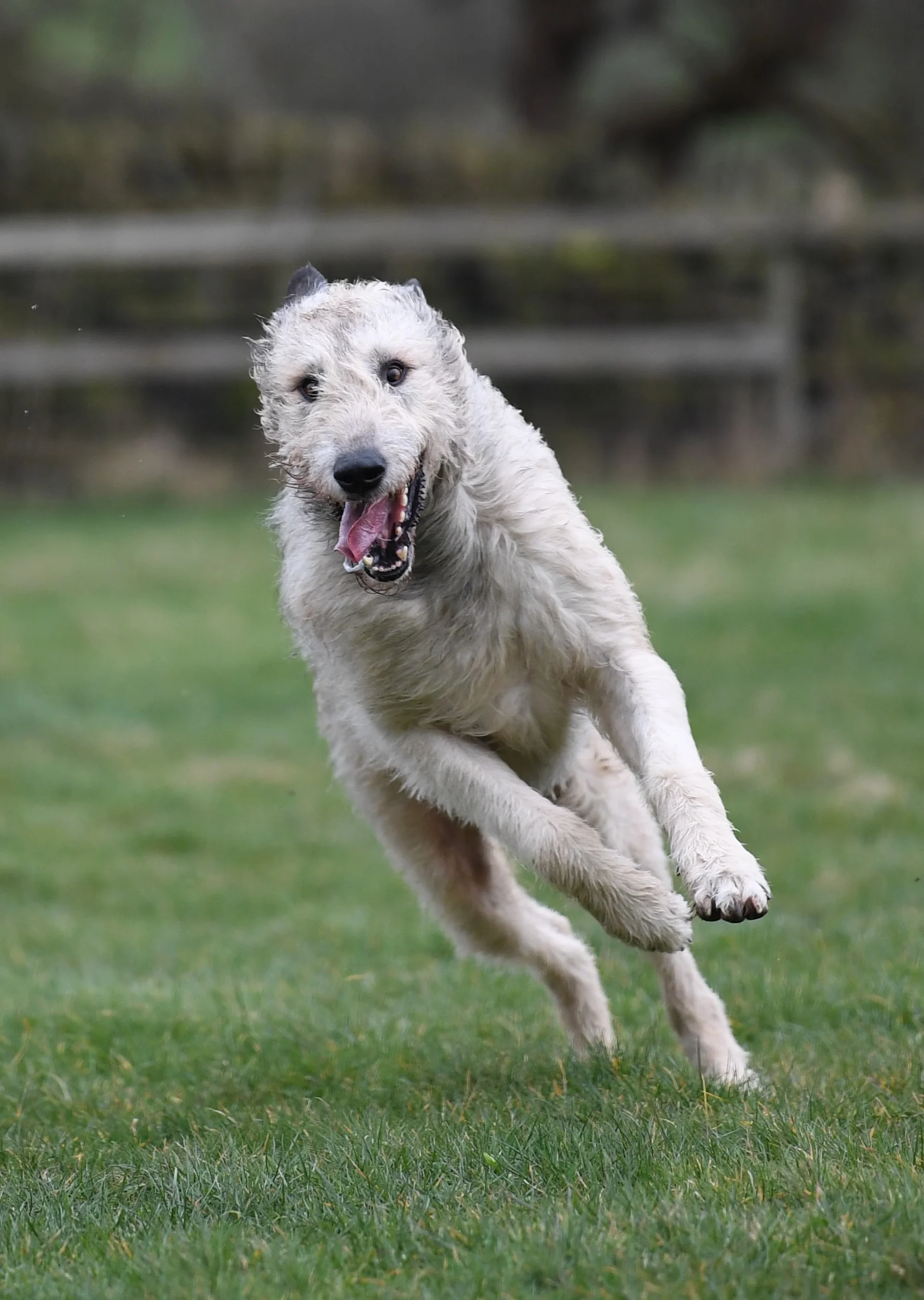 FullSizeRender 3.jpg