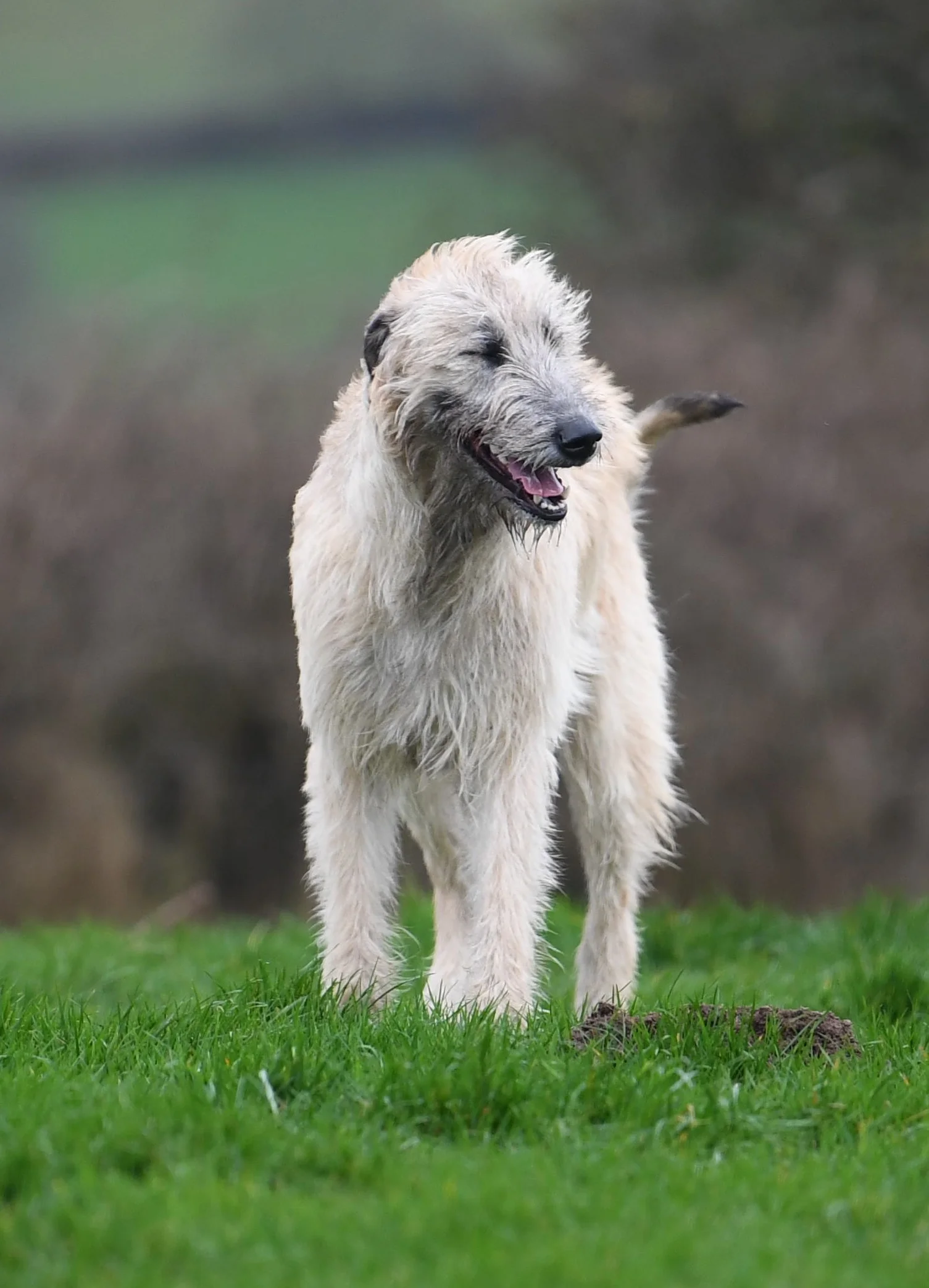 FullSizeRender 29.jpg