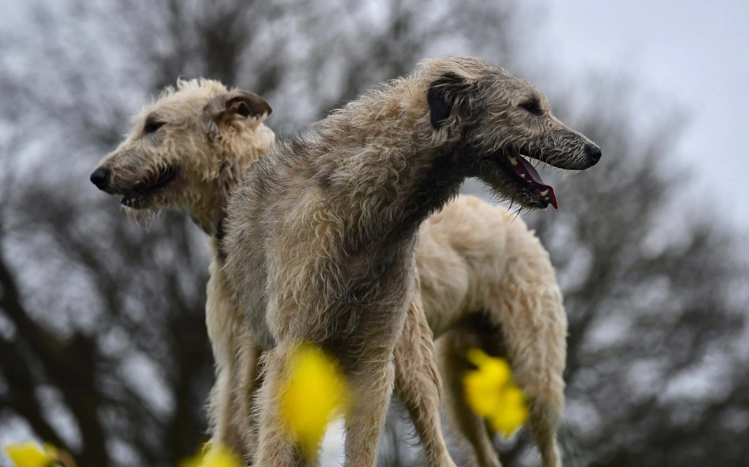 FullSizeRender 58.jpg