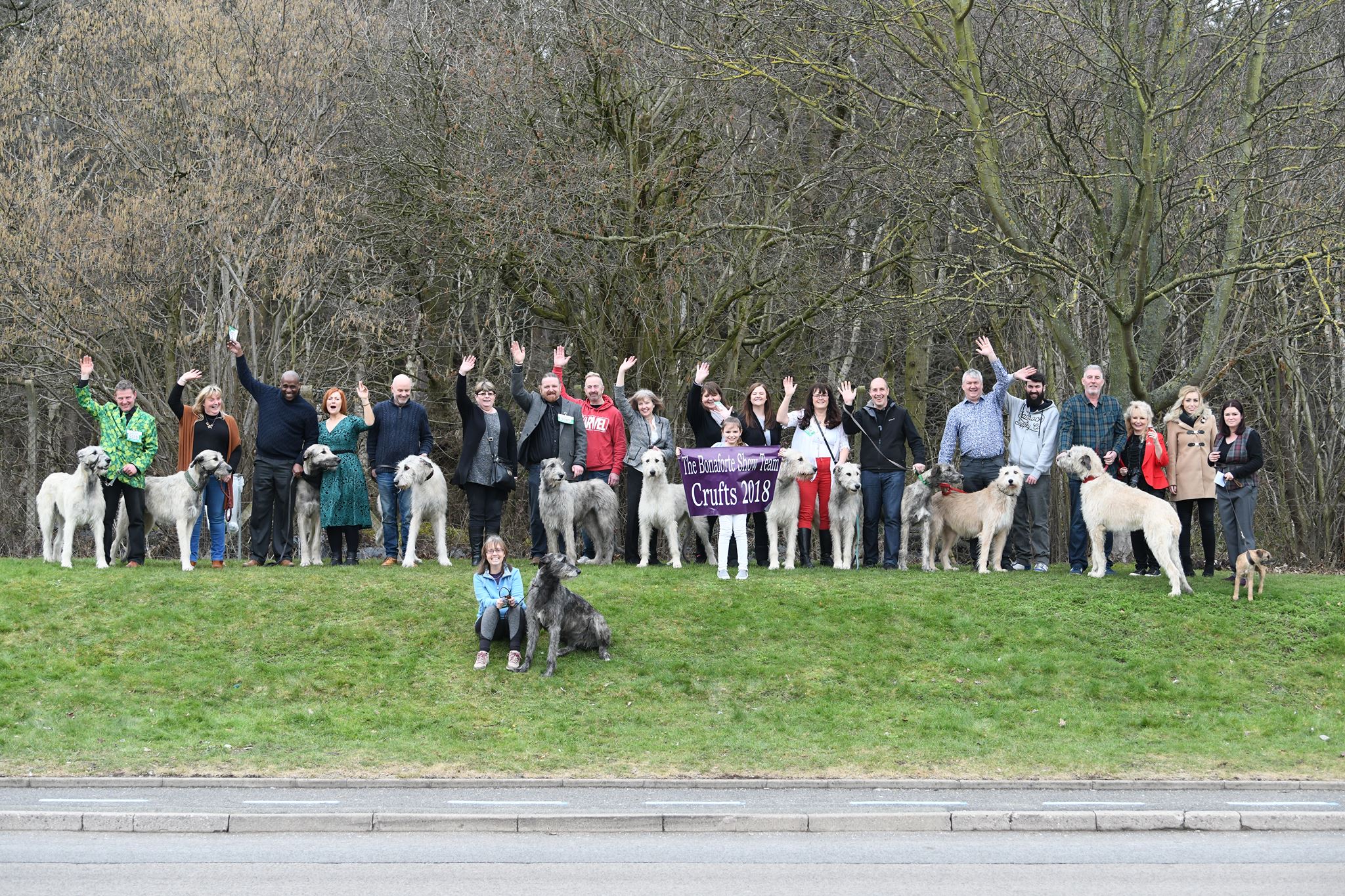 Crufts 2018 - Irish Wolfhounds 