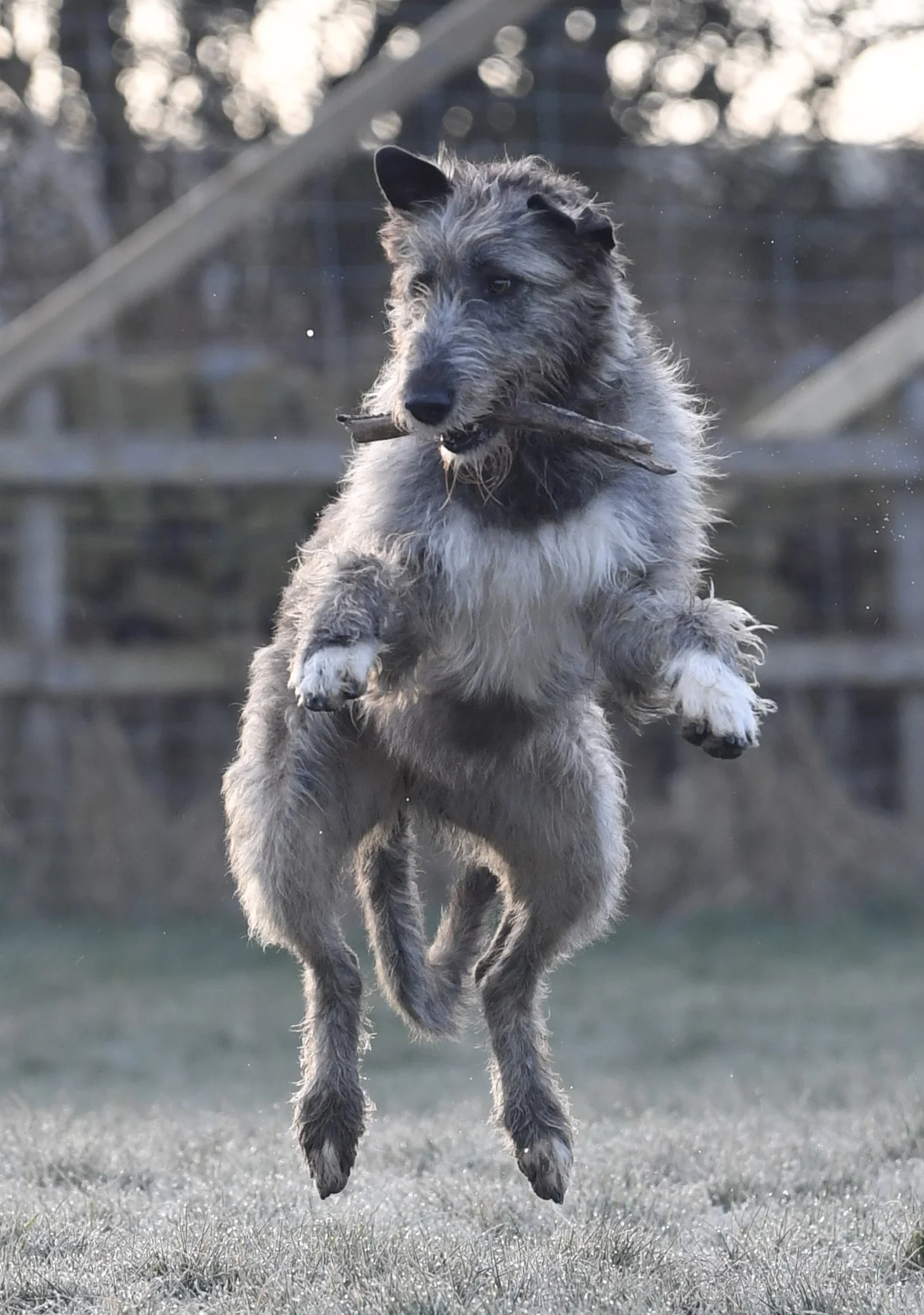 DSC_2175.jpg
