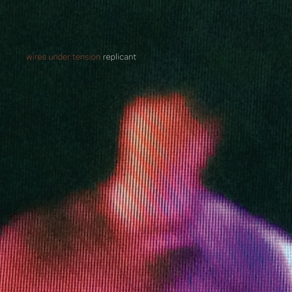 Transient