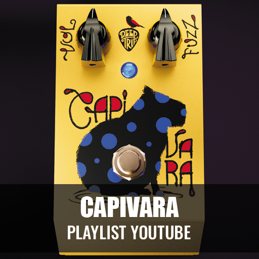 CAPIVARA.png