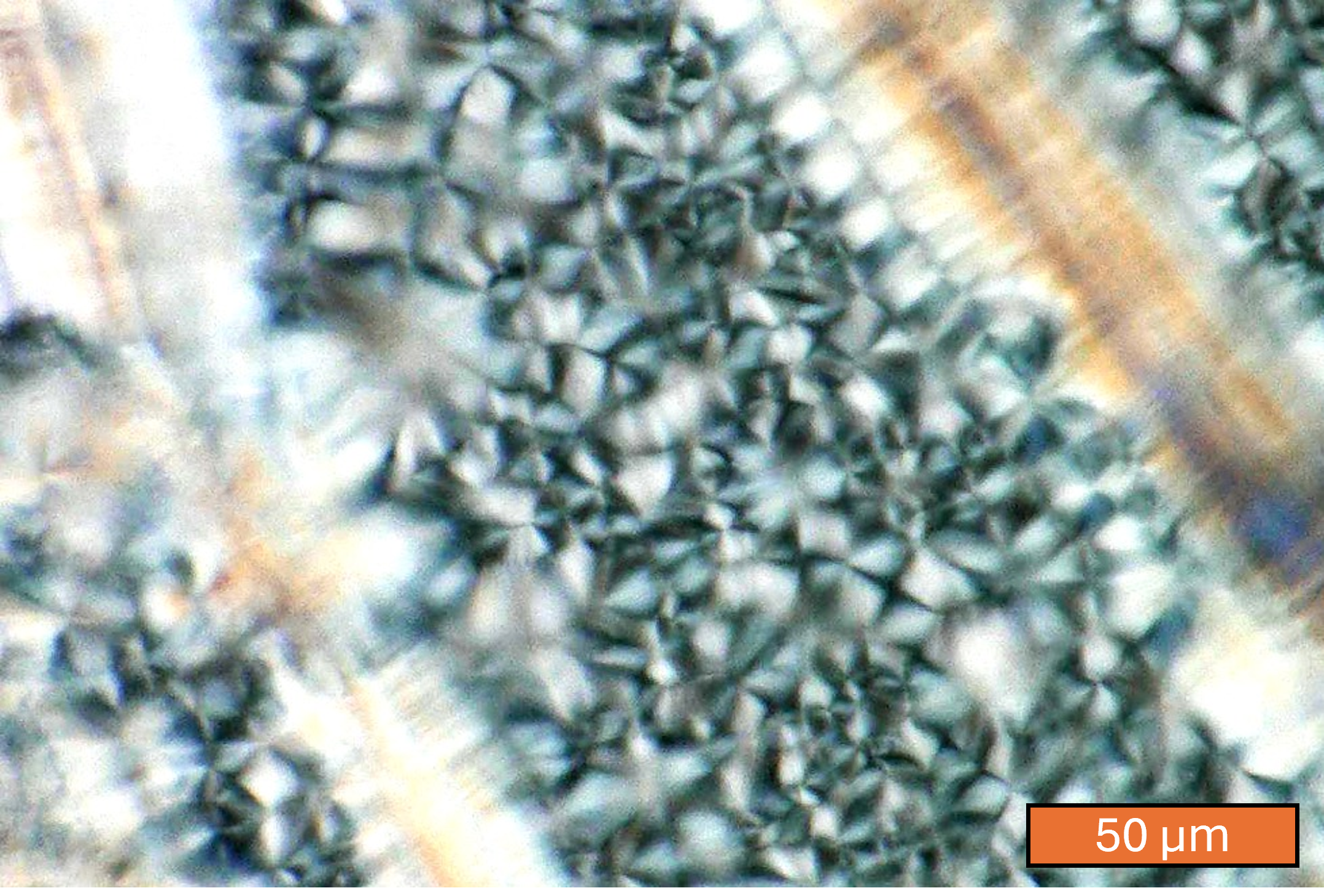 FCDs in surfactant paste