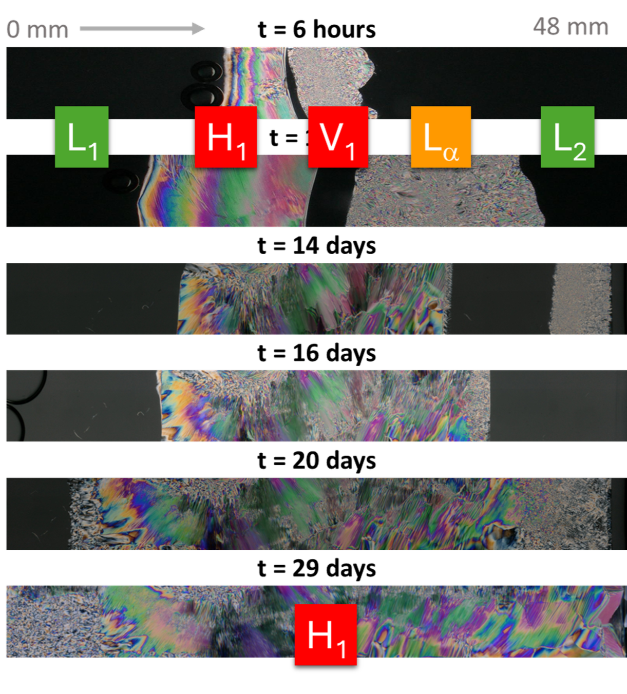 Aging of surfactant paste in DDIT