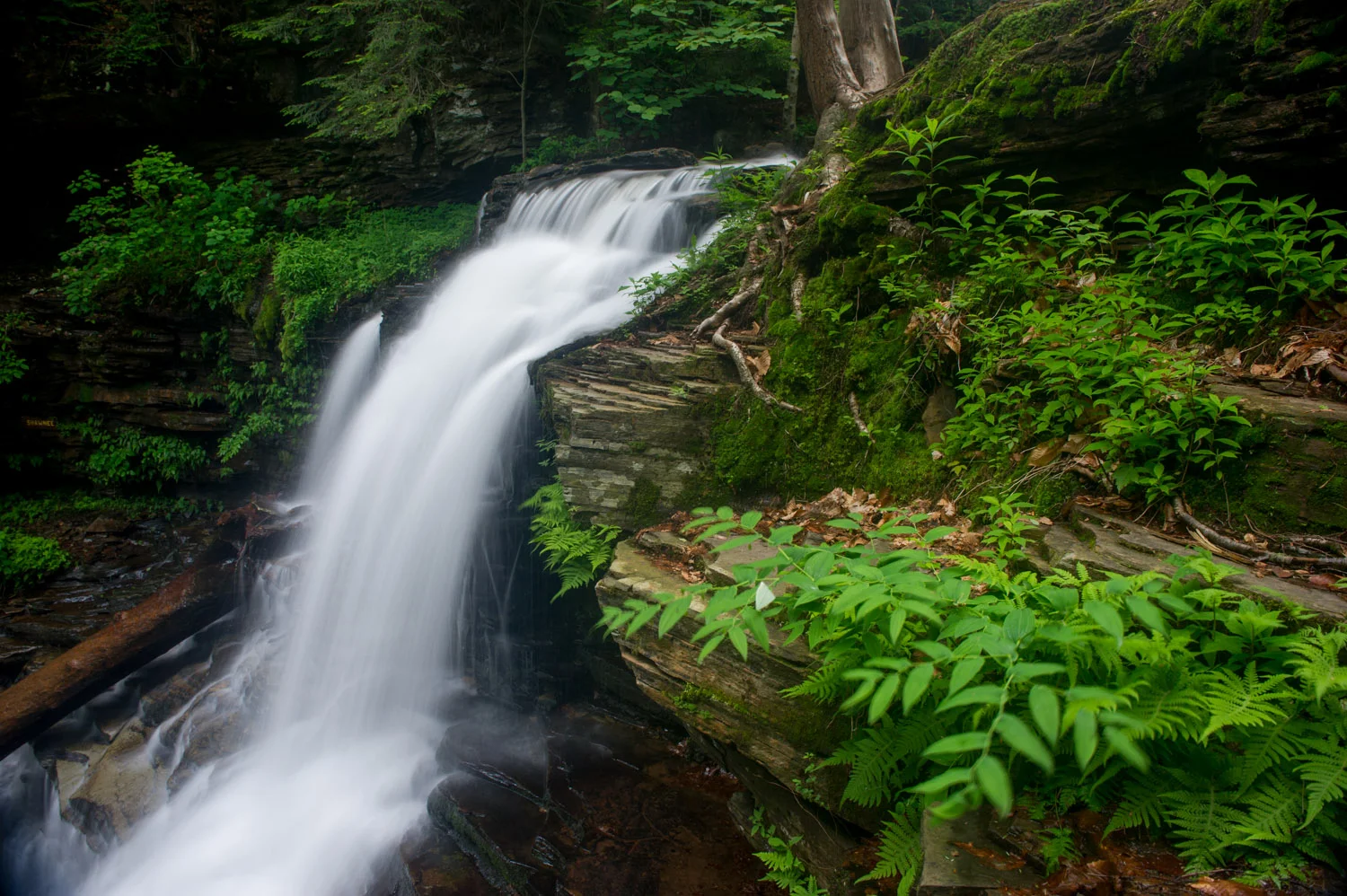 02_Huge Falls.jpg