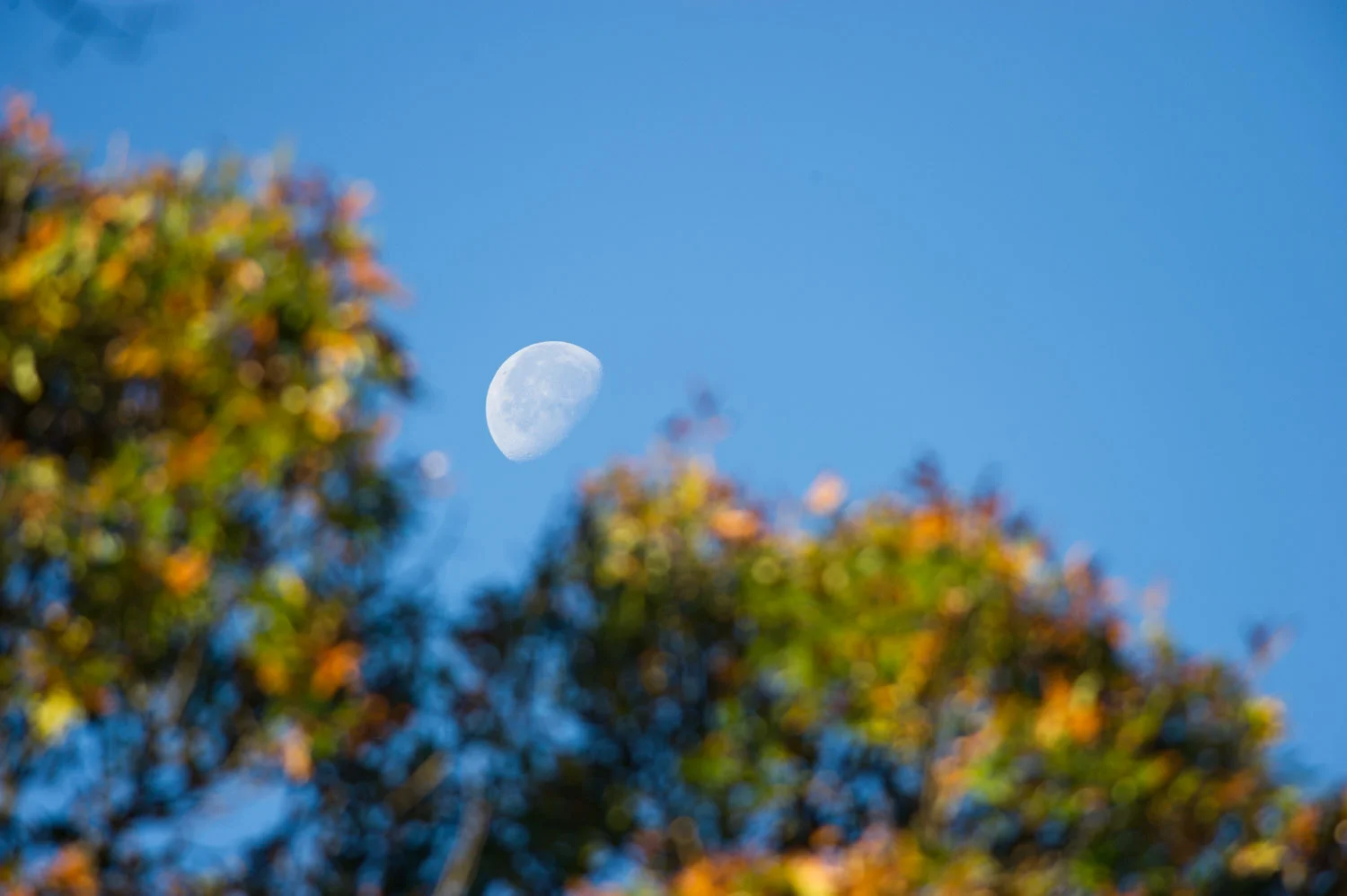 When the moon is visible during the day it can make for some interesting compositions.