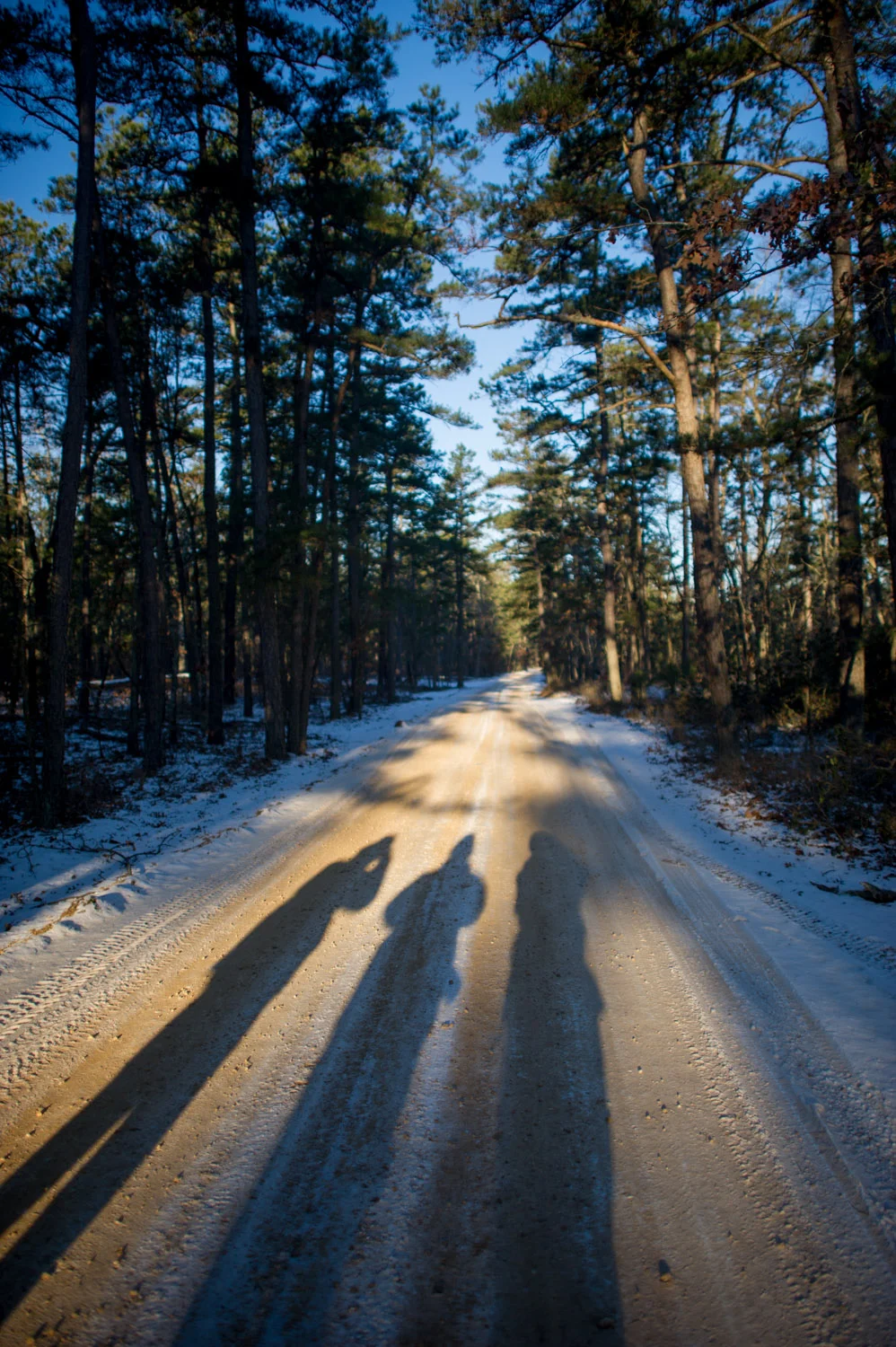Shadows of the three of us during the hike.