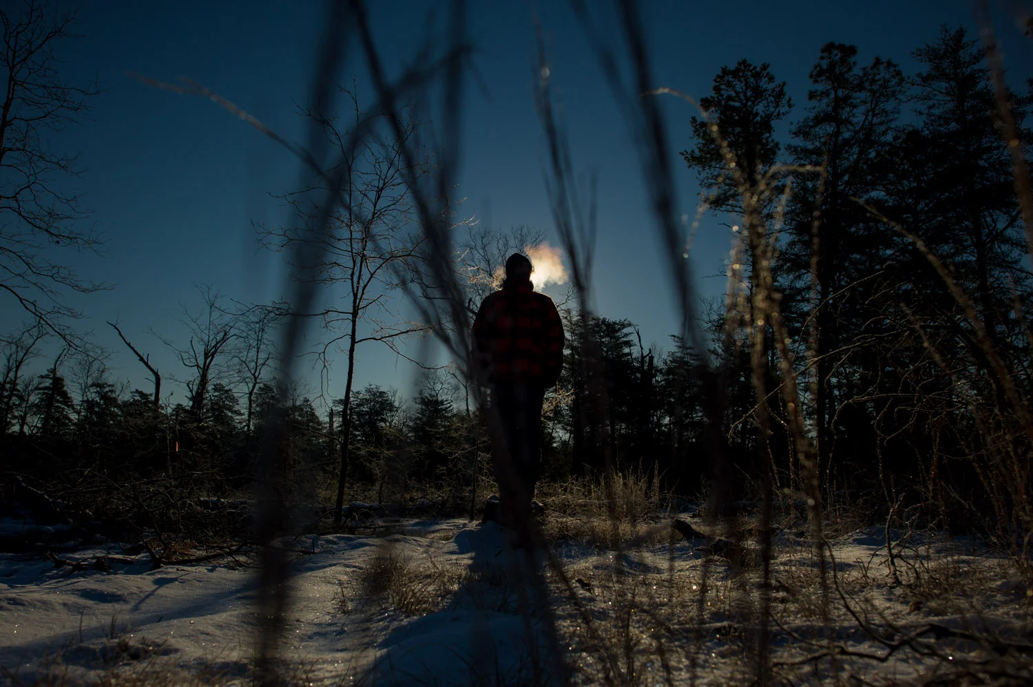 M y friend Jesse standing on a tree stump on a freezing cold morning out in the middle of the NJ Pine Barrens in Wharton State Forest.