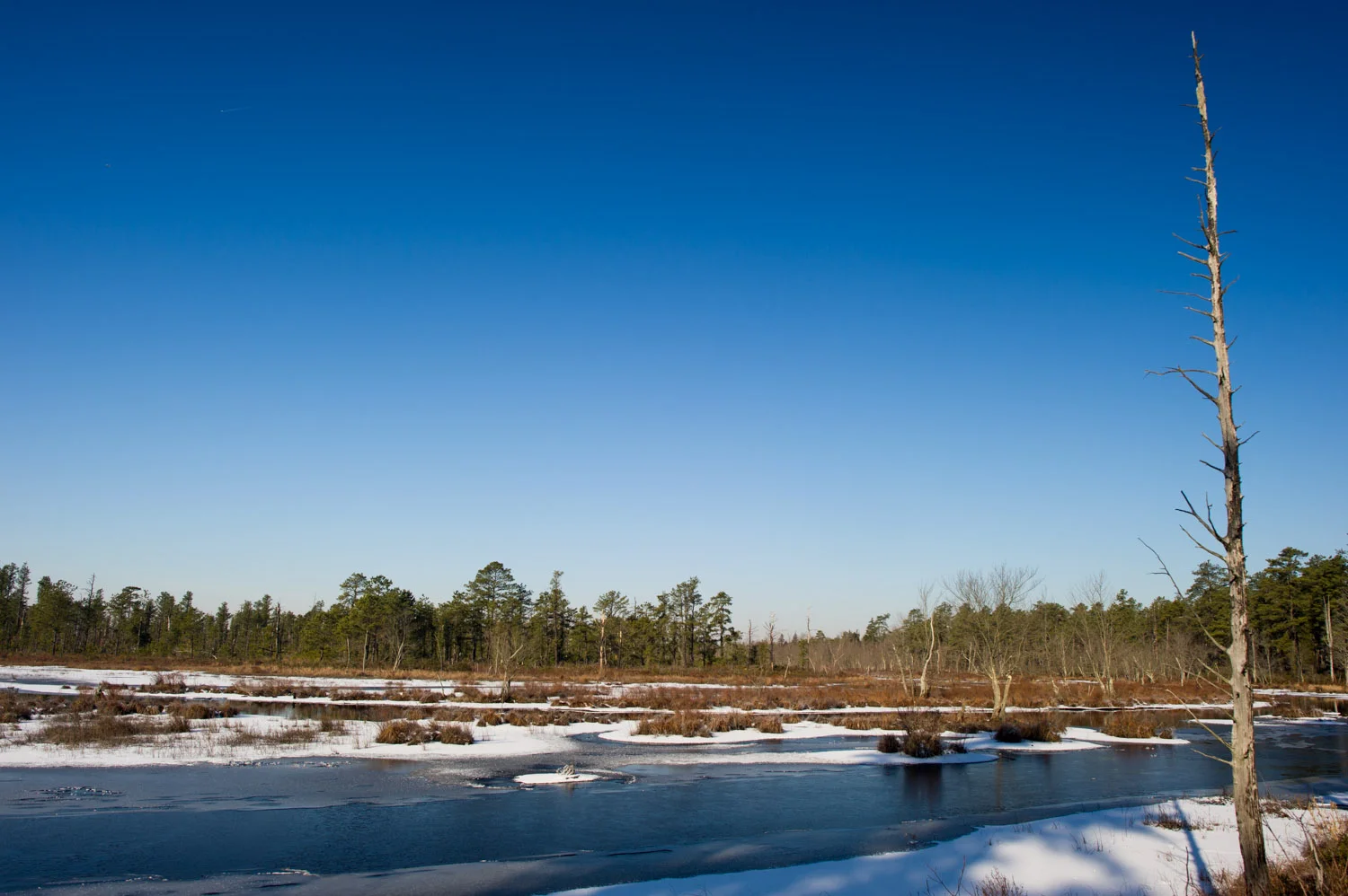 The Mullica River that the yellow trail we hiked followed along.